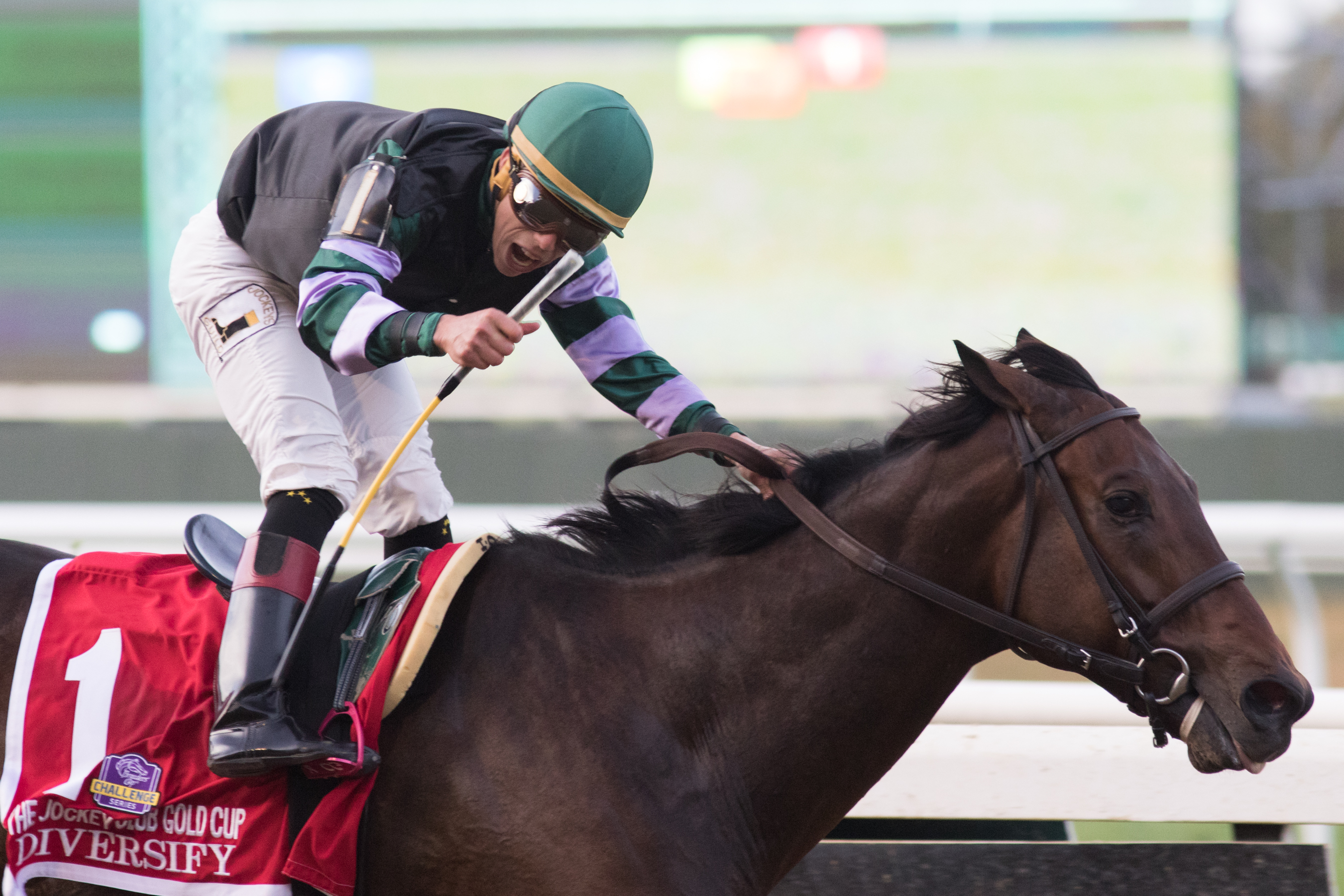 Divesify wins Jockey Club Gold Cup