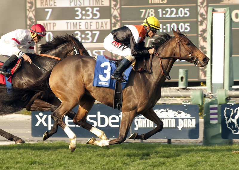 Diversy Harbor
