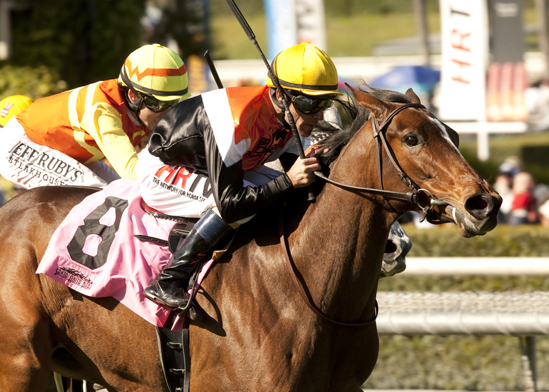 Diversy Harbor 3-8-2014