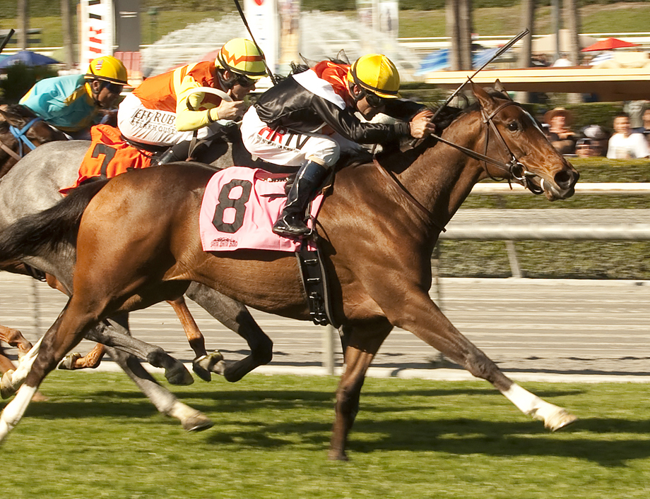 Diversy Harbor beats Nashoba's Gold in the China Doll