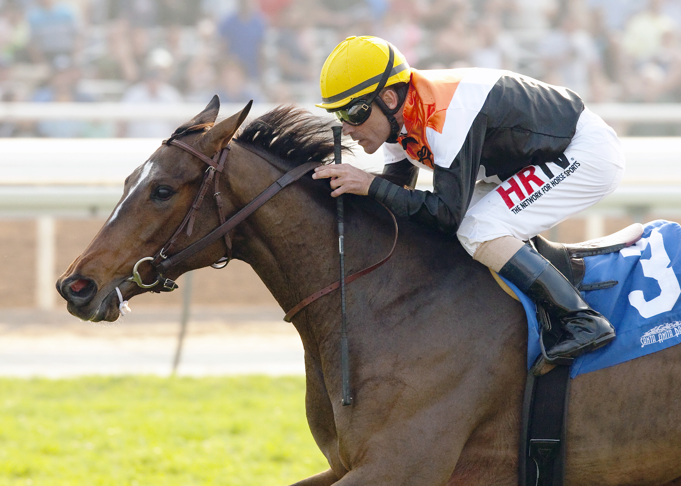 Diversy Harbor wins the Buena Vista Stakes