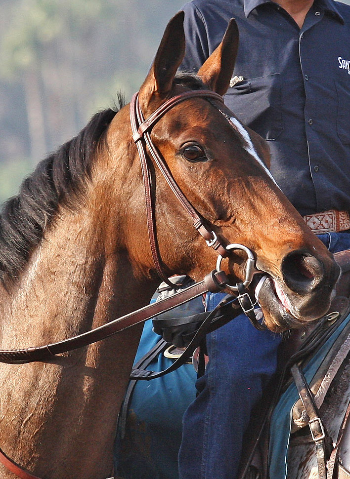 Diversy Harbor