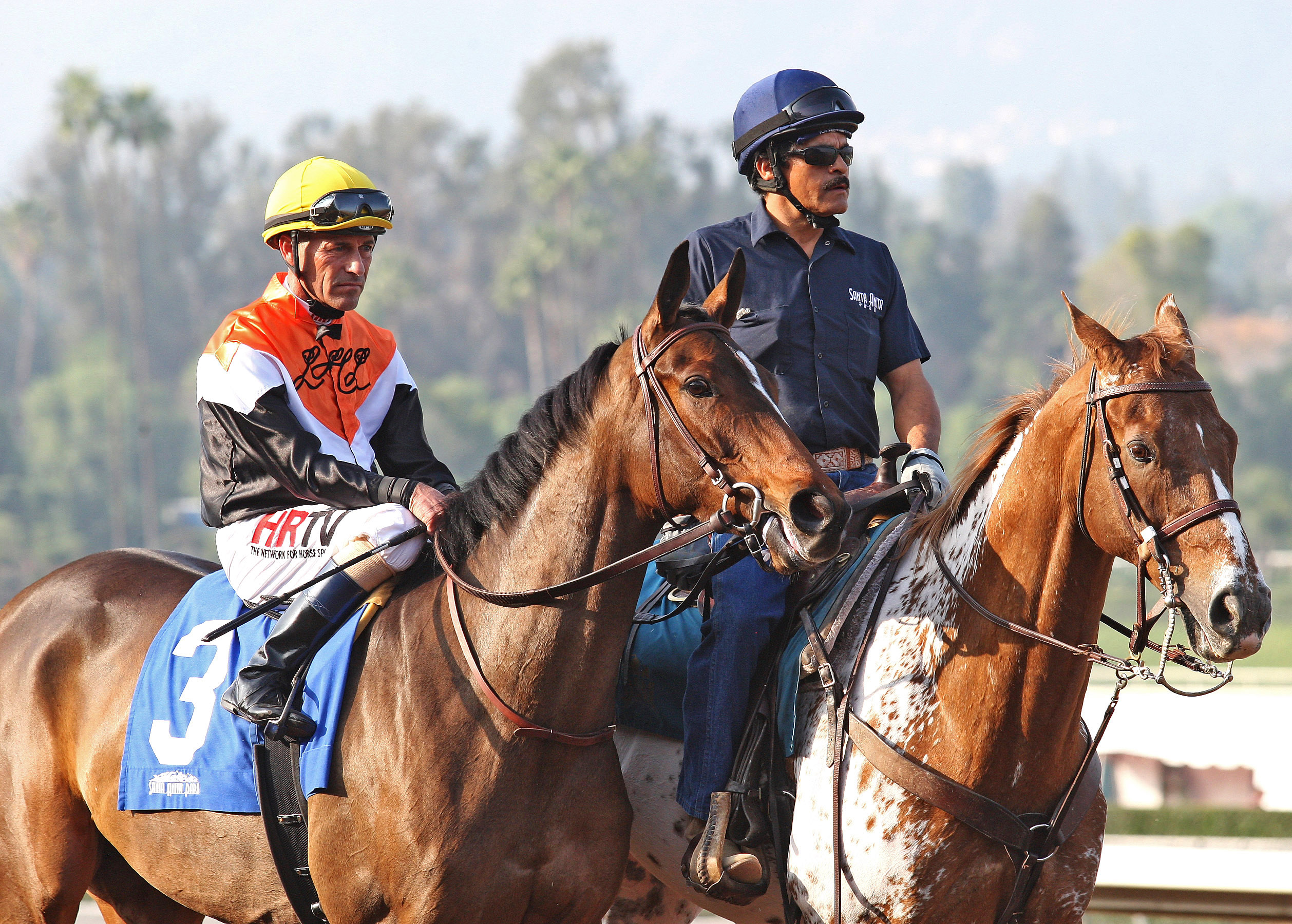 Diversy Harbor at the Buena Vista Stakes