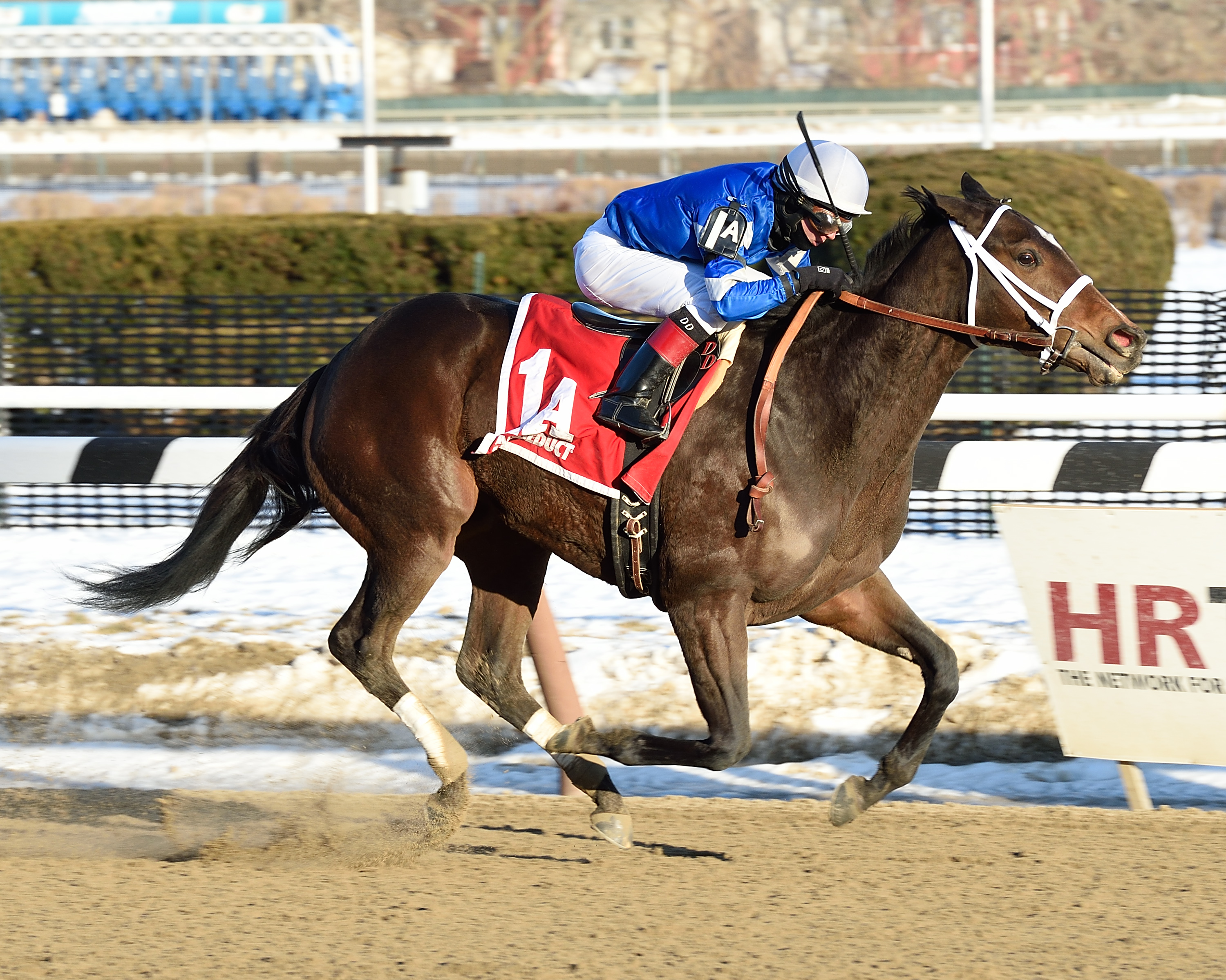 Divided Attention wins the Lady Handicap