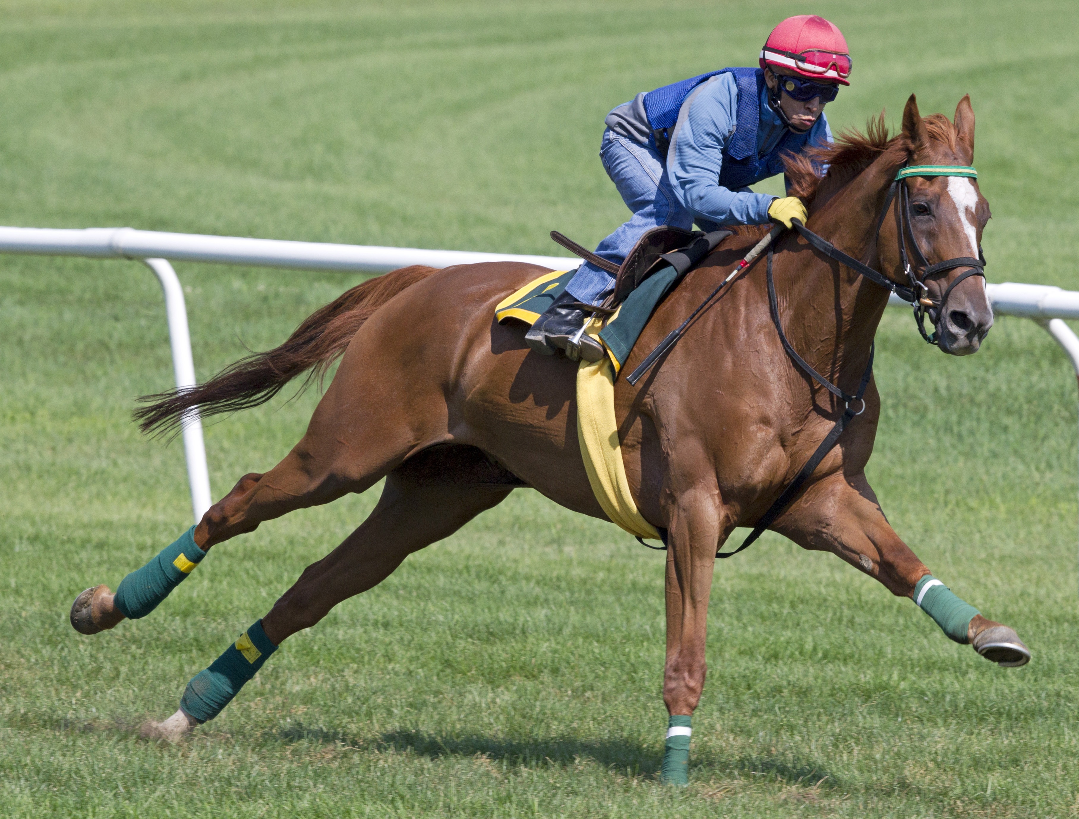 Saratoga: British import Hunt Ball among Sheppard trio in A.P. Smithwick Steeplechase