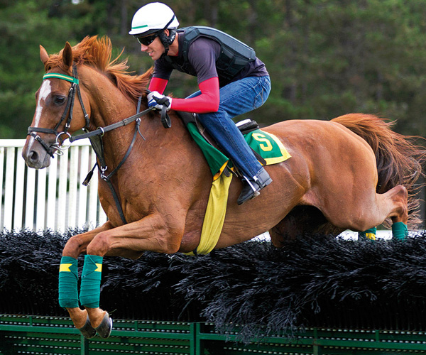 Divine Fortune eclipse
