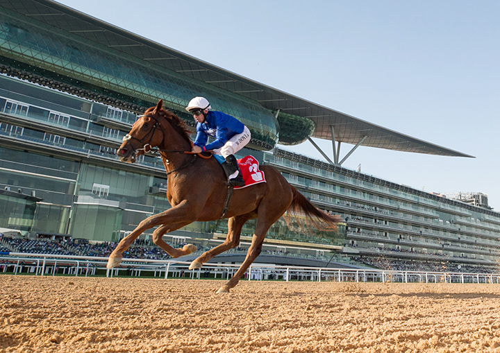 Divine Image wins the 2019 Al Bastakiya Stakes