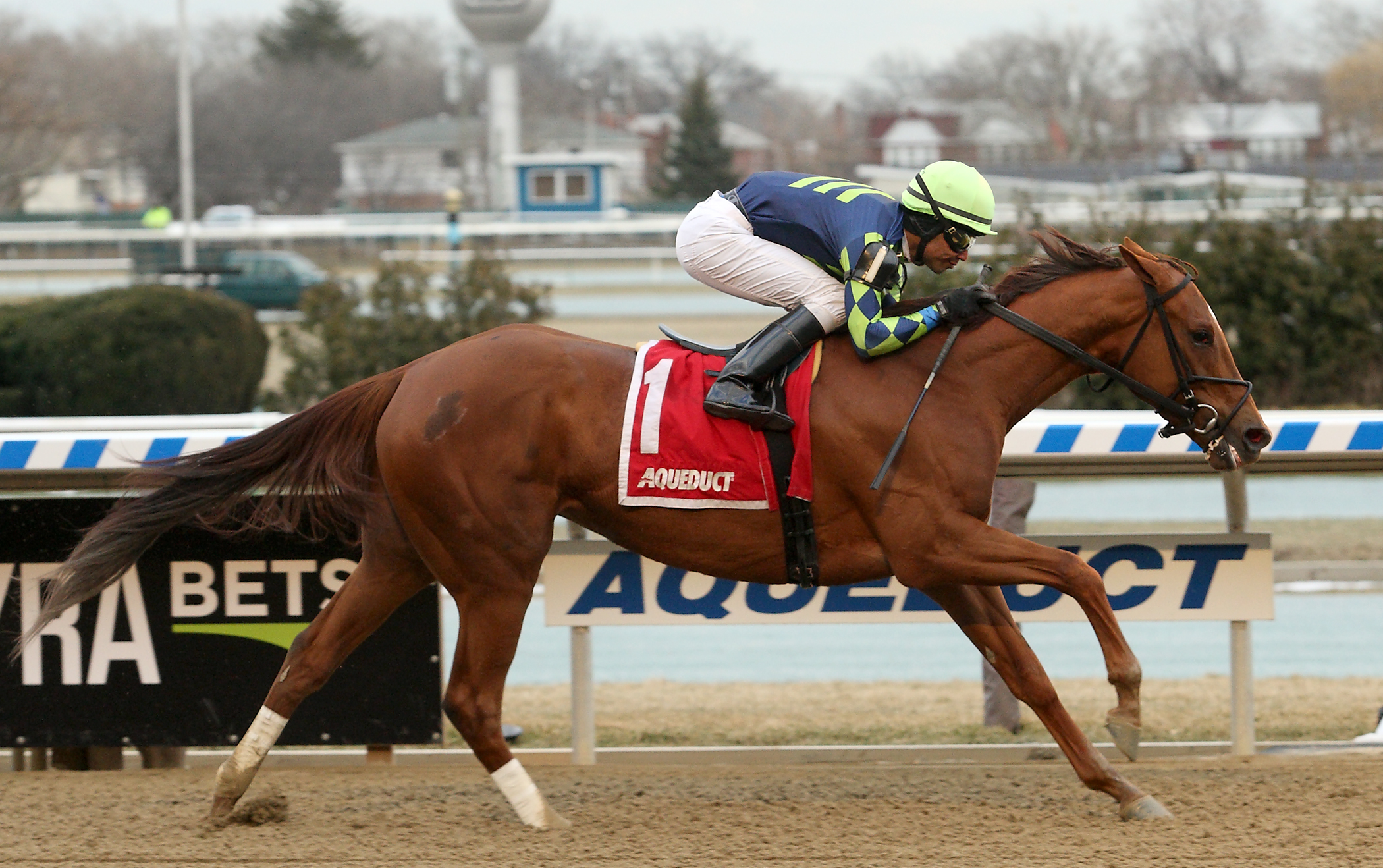 Divine Miss Grey dominant in Heavenly Prize Invitational