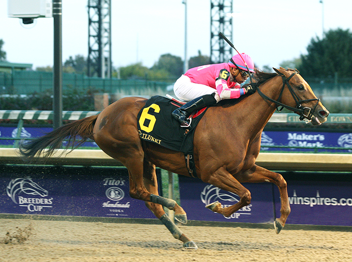 Divine Miss Grey wins the 2018 Chilukki Stakes