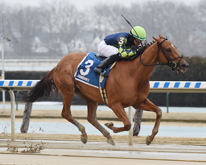 Divine Miss Grey wins the 2019 Heavenly Prize