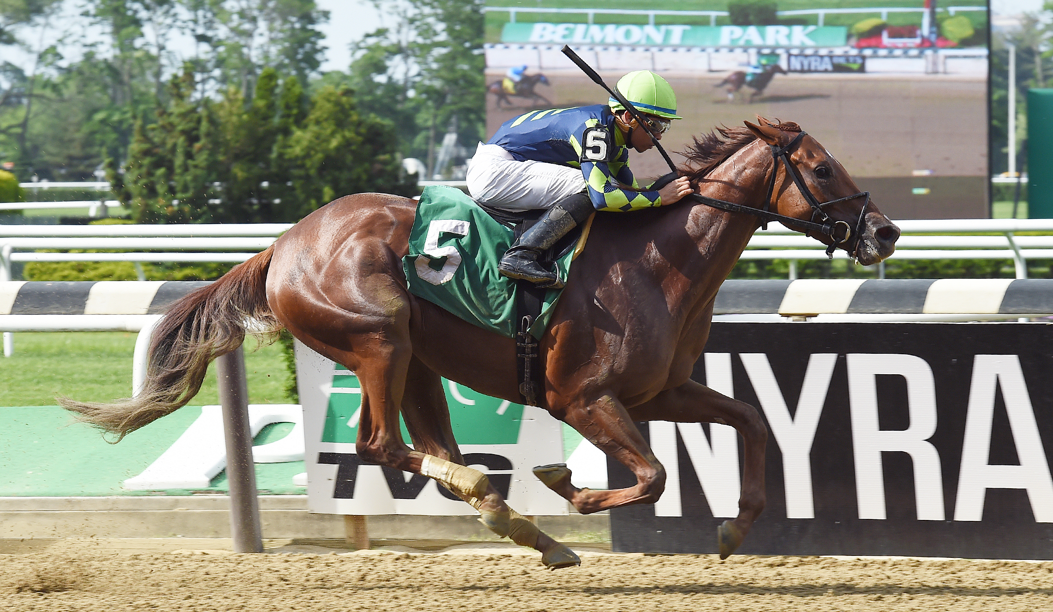Divine Miss Grey wins a June 30 allowance