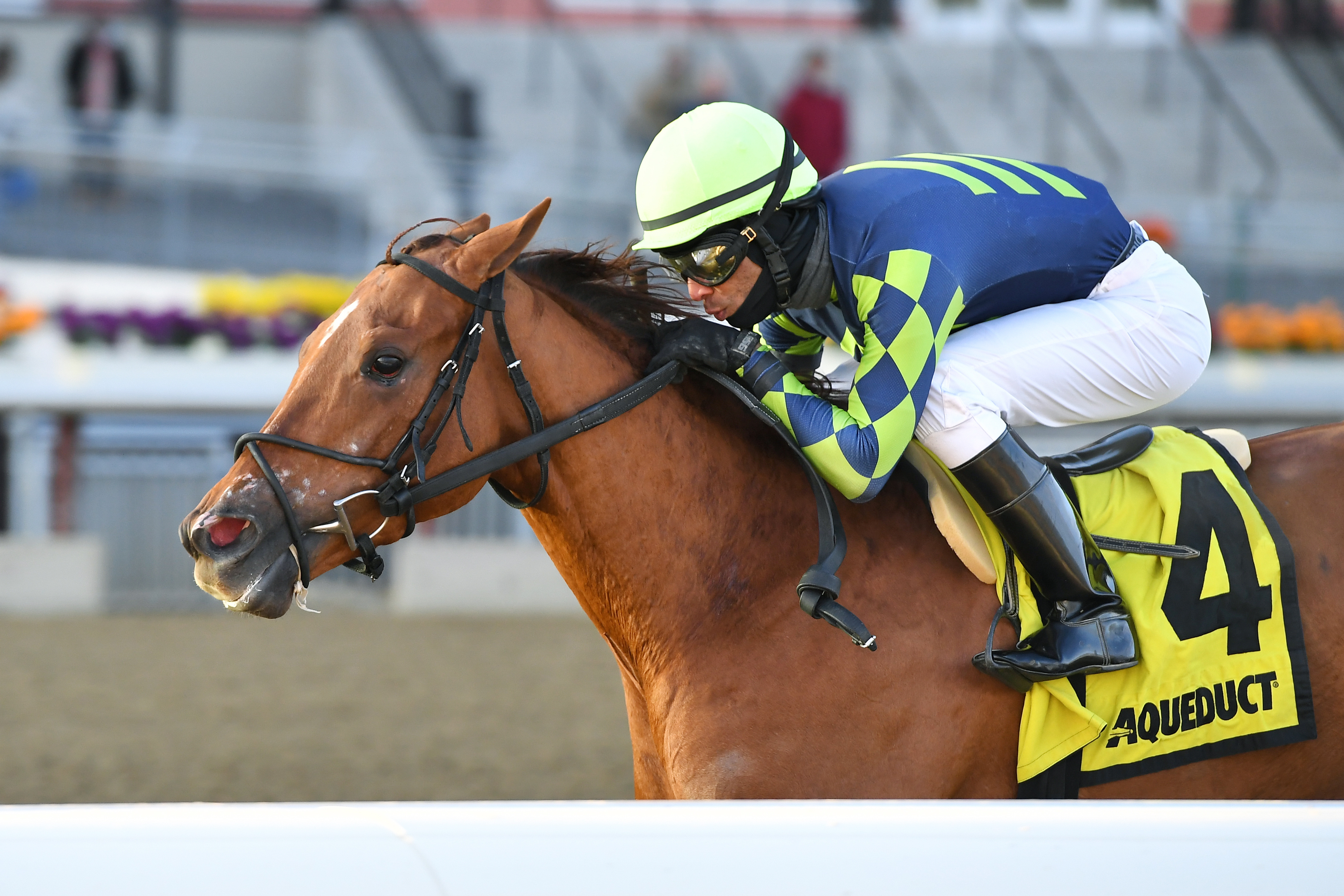 Divine Miss Grey wins the 2018 Interborough