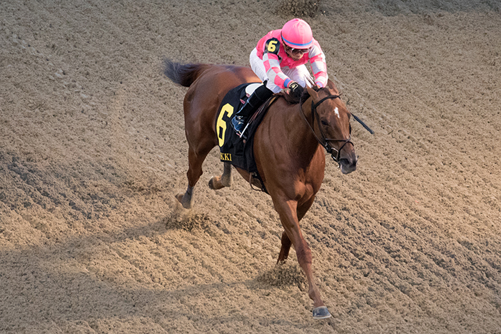 Divine Miss Grey wins the 2018 Chilukki Stakes at Churchill Downs