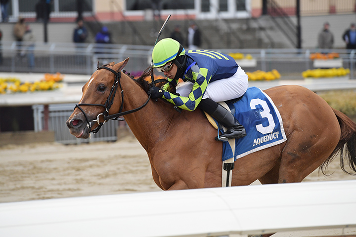 Divine Miss Grey wins the 2019 Heavenly Prize