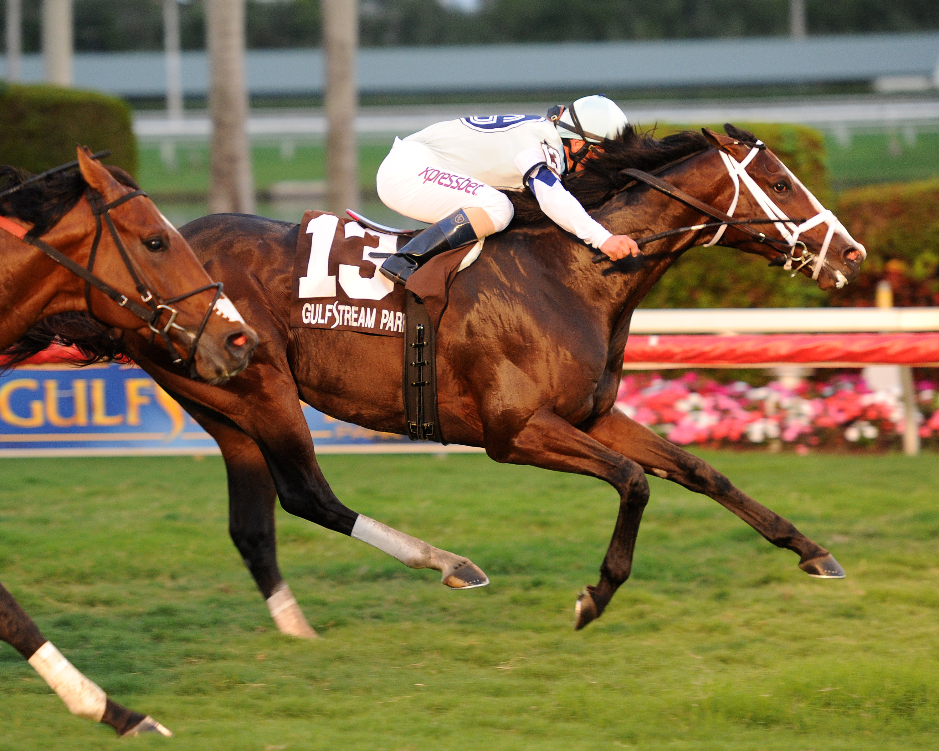 Divine Oath wins 2014 W.L. McKnight