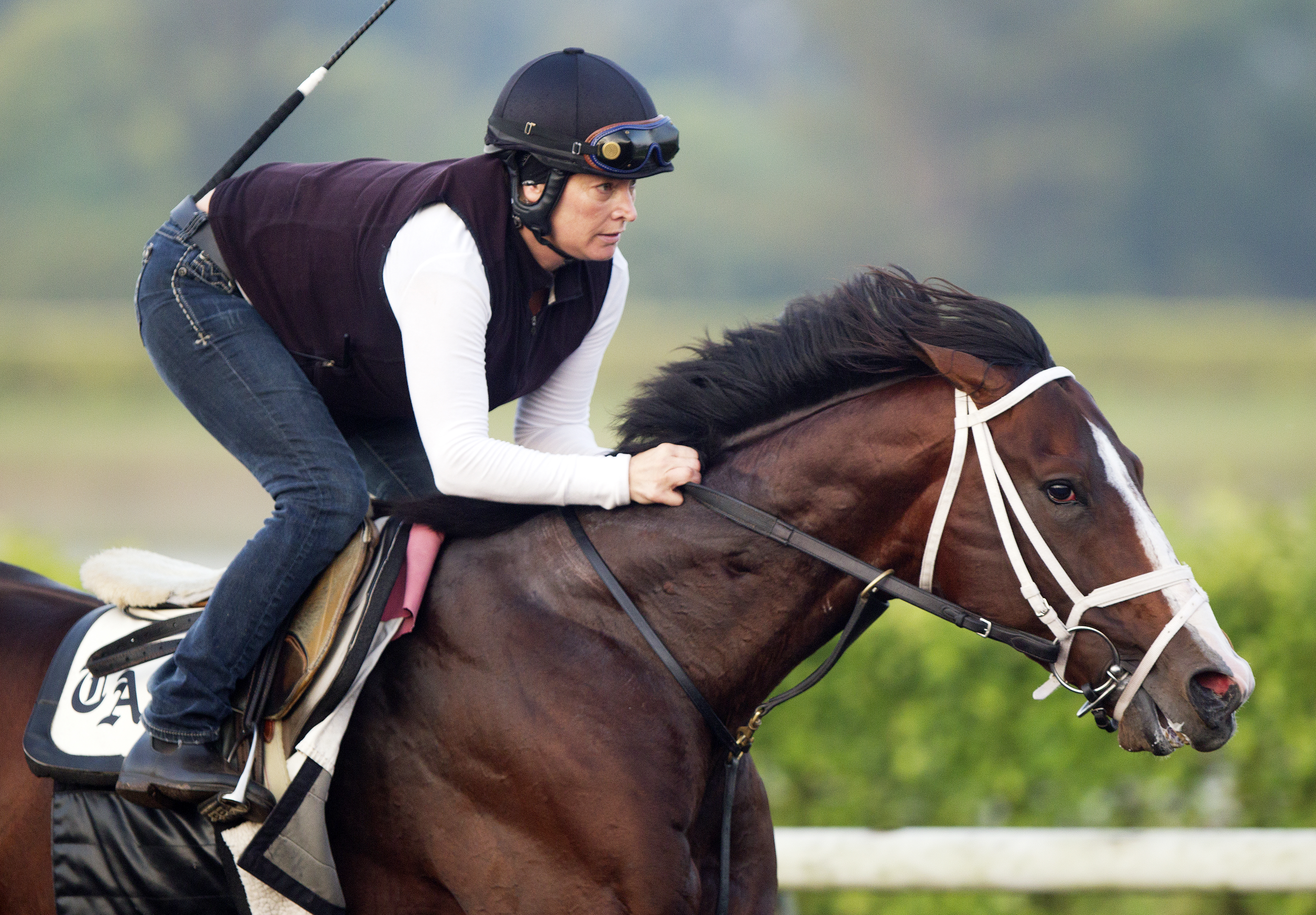 Divine Oath training at Palm Beach Downs March 22
