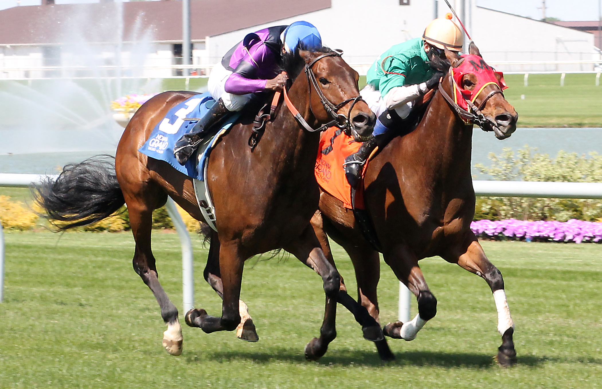 Dyanmite Stick finishes second to Divine Thunder in an allowance race