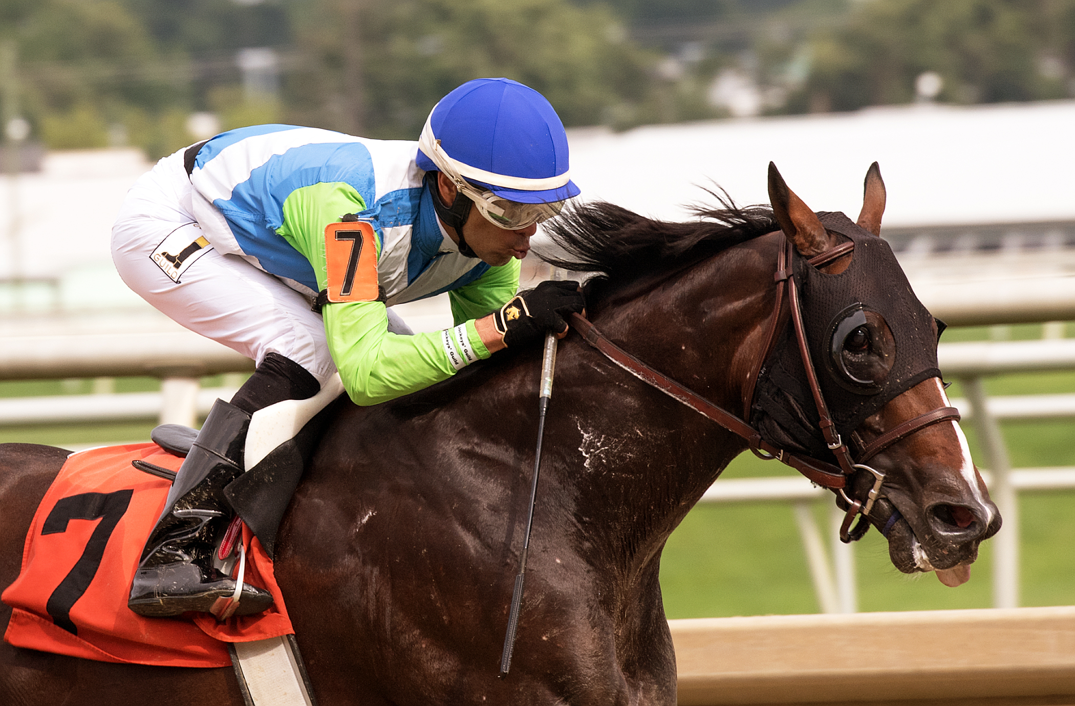Divining Rod wins the 2017 Polynesian