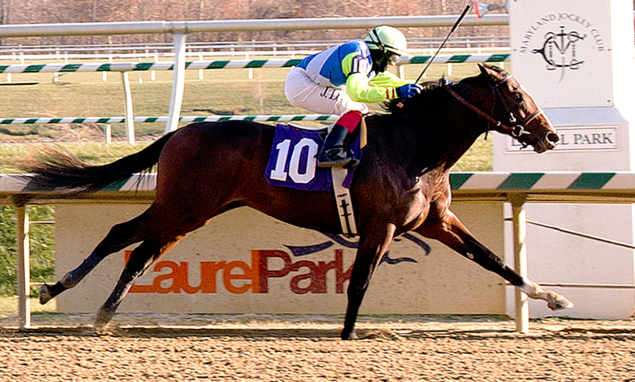 Divining Rod wins a maiden race