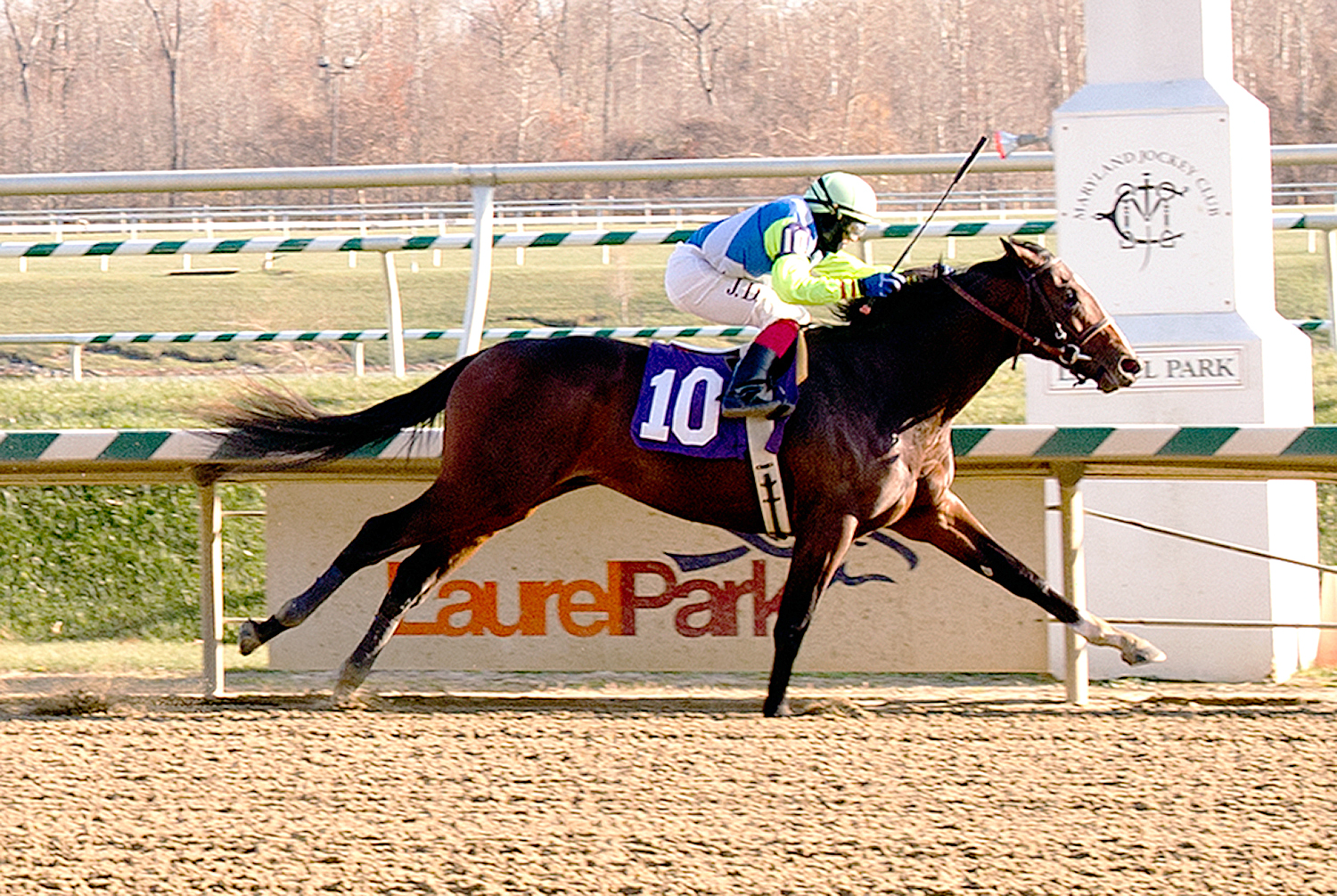 Divining Rod wins a maiden race