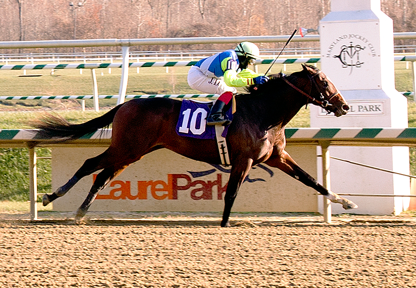 Divining Rod wins a maiden race