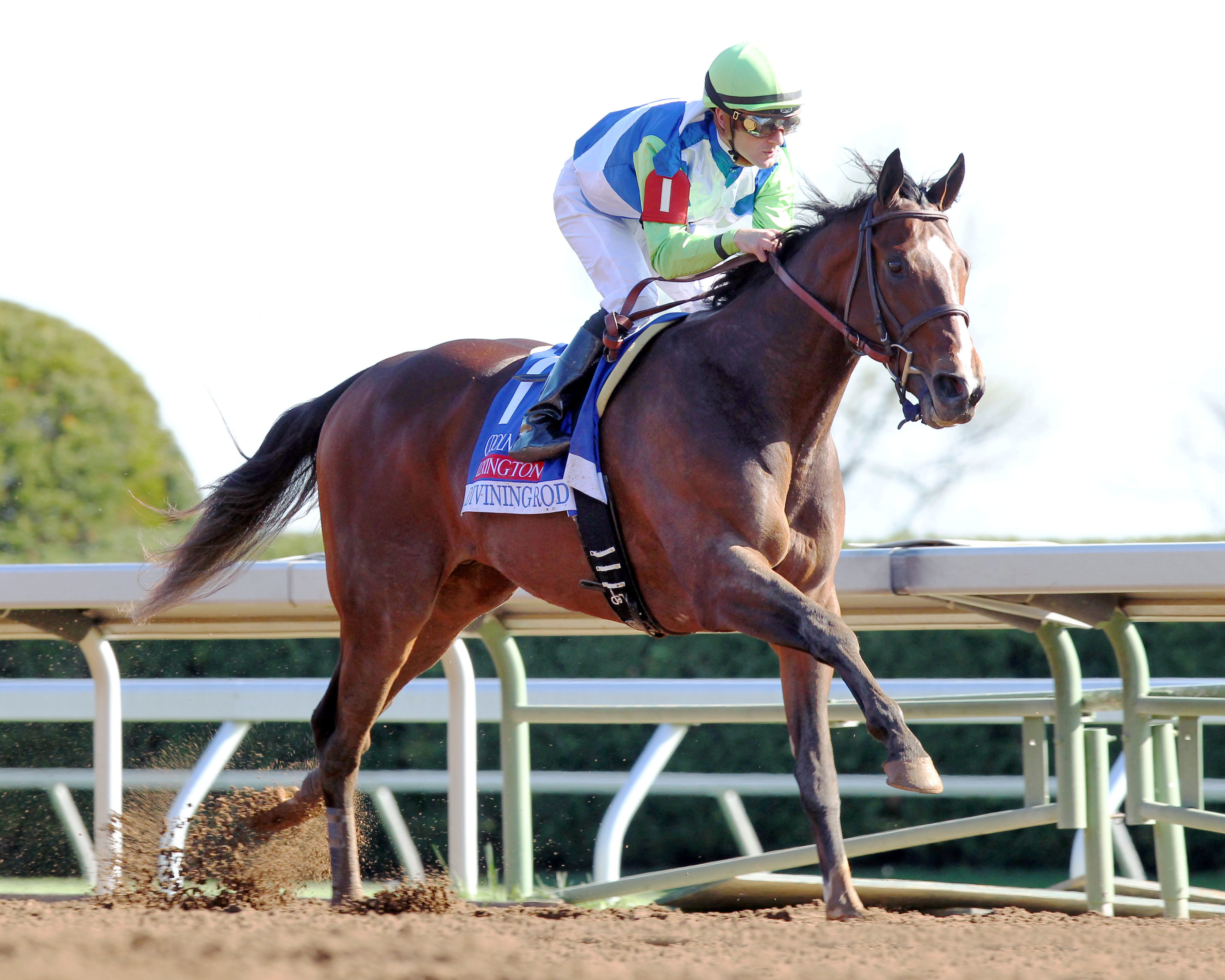 Tampa Bay: Big day for Delacours
