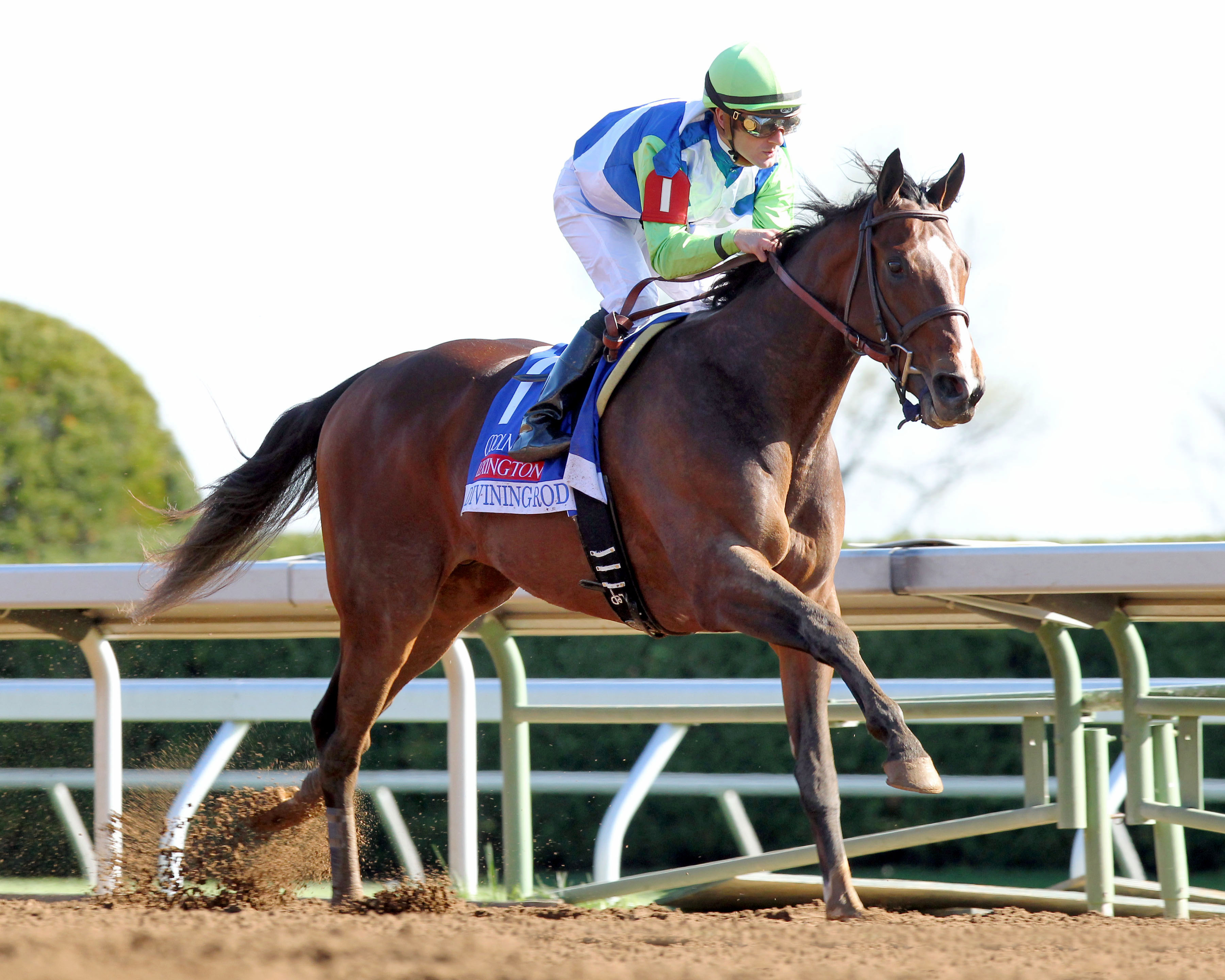 Divining Rod wins the Lexington