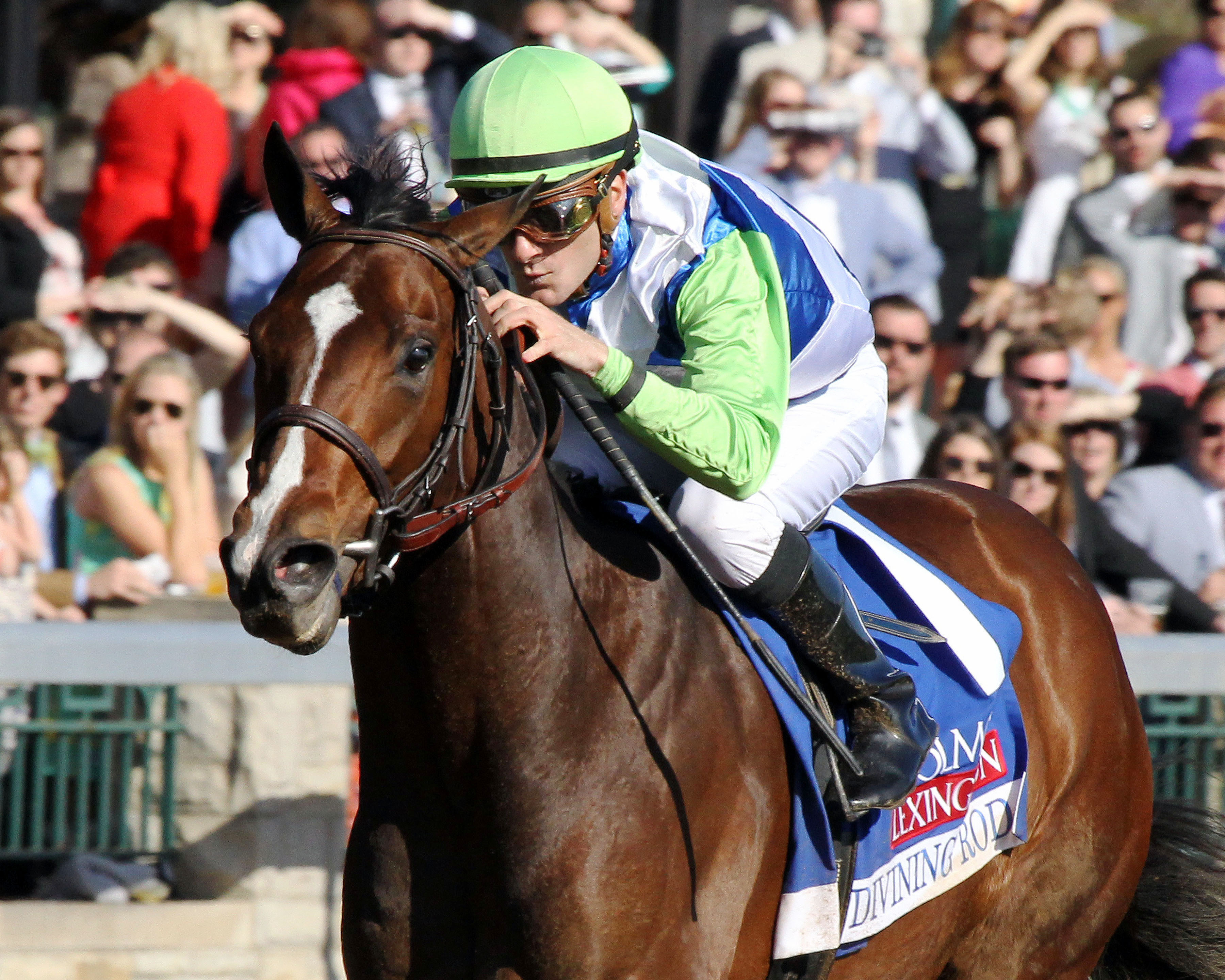 Divining Rod wins the Lexington