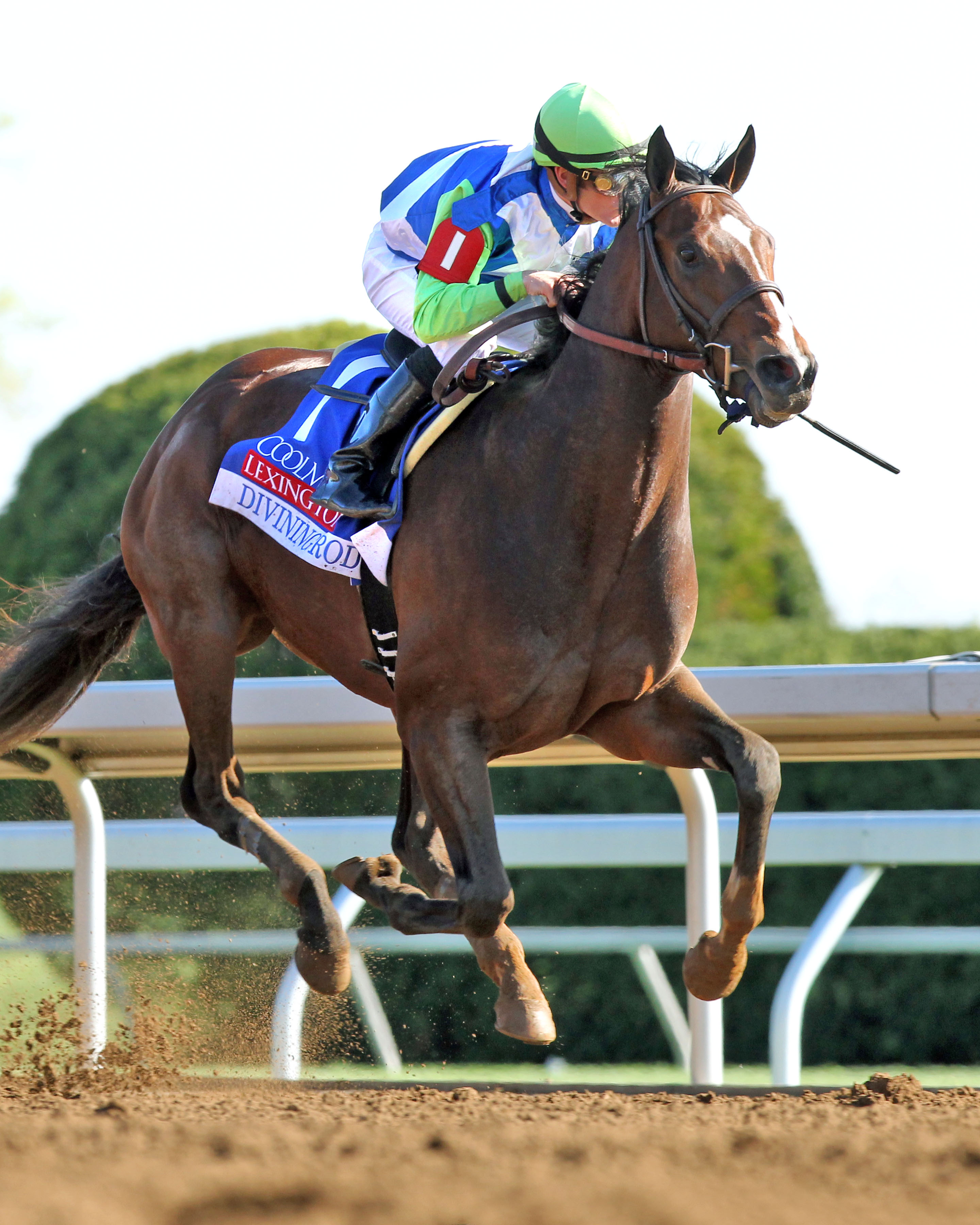 Divining Rod wins the 2015 Lexington Stakes