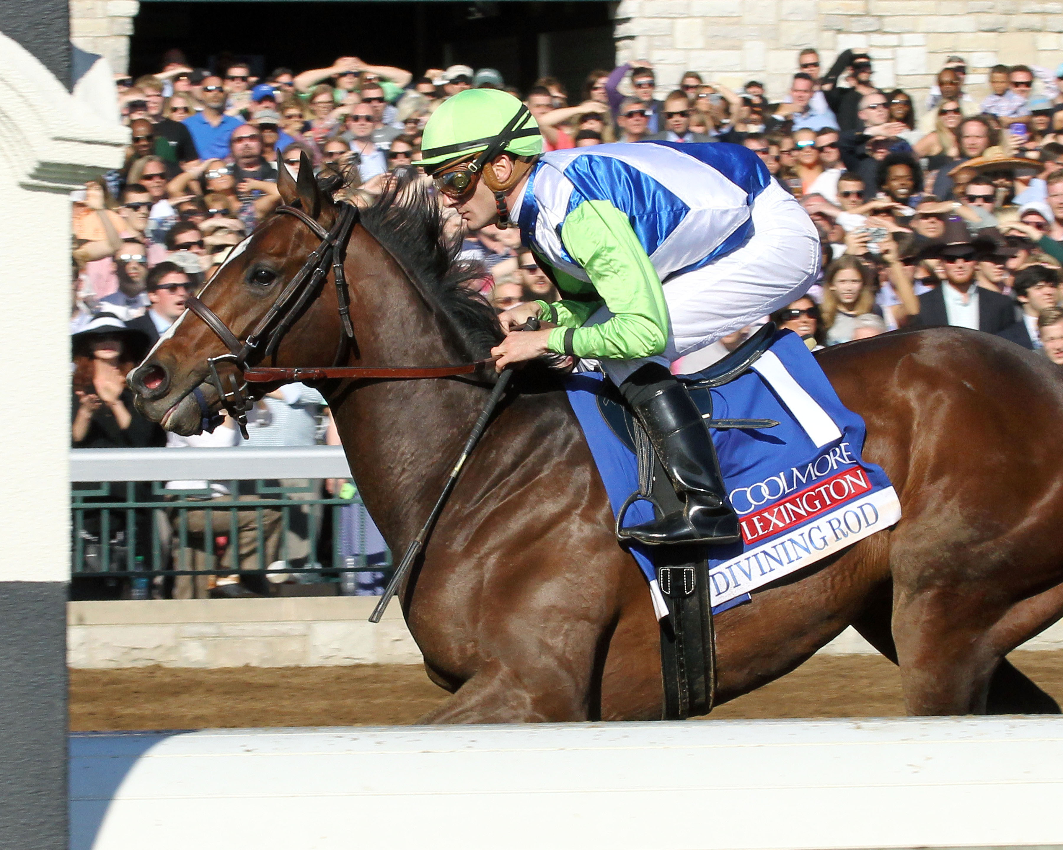 Divining Rod wins the 2015 Lexington Stakes