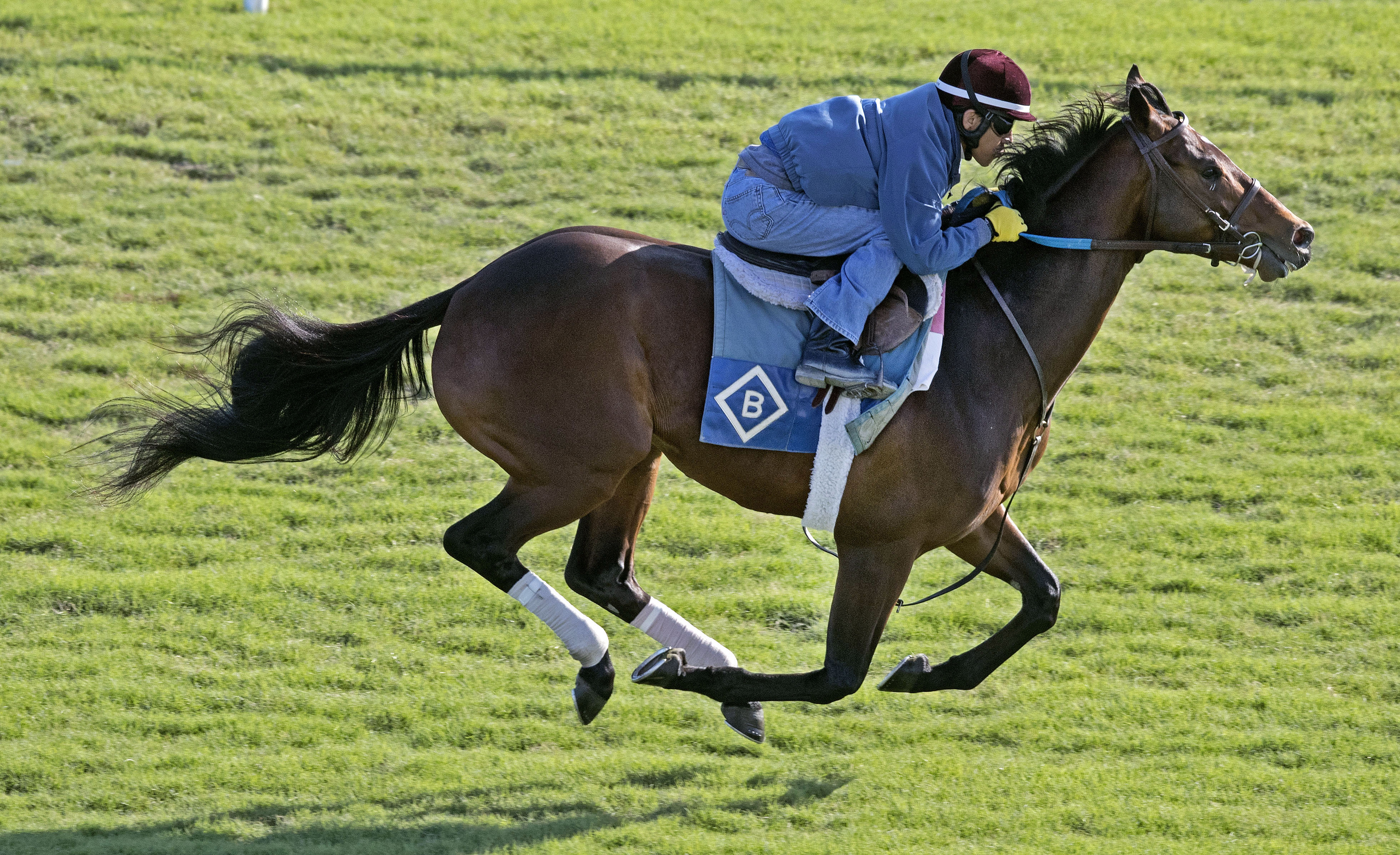 Divisidero breezes at Gulfstream Park on Jan. 8