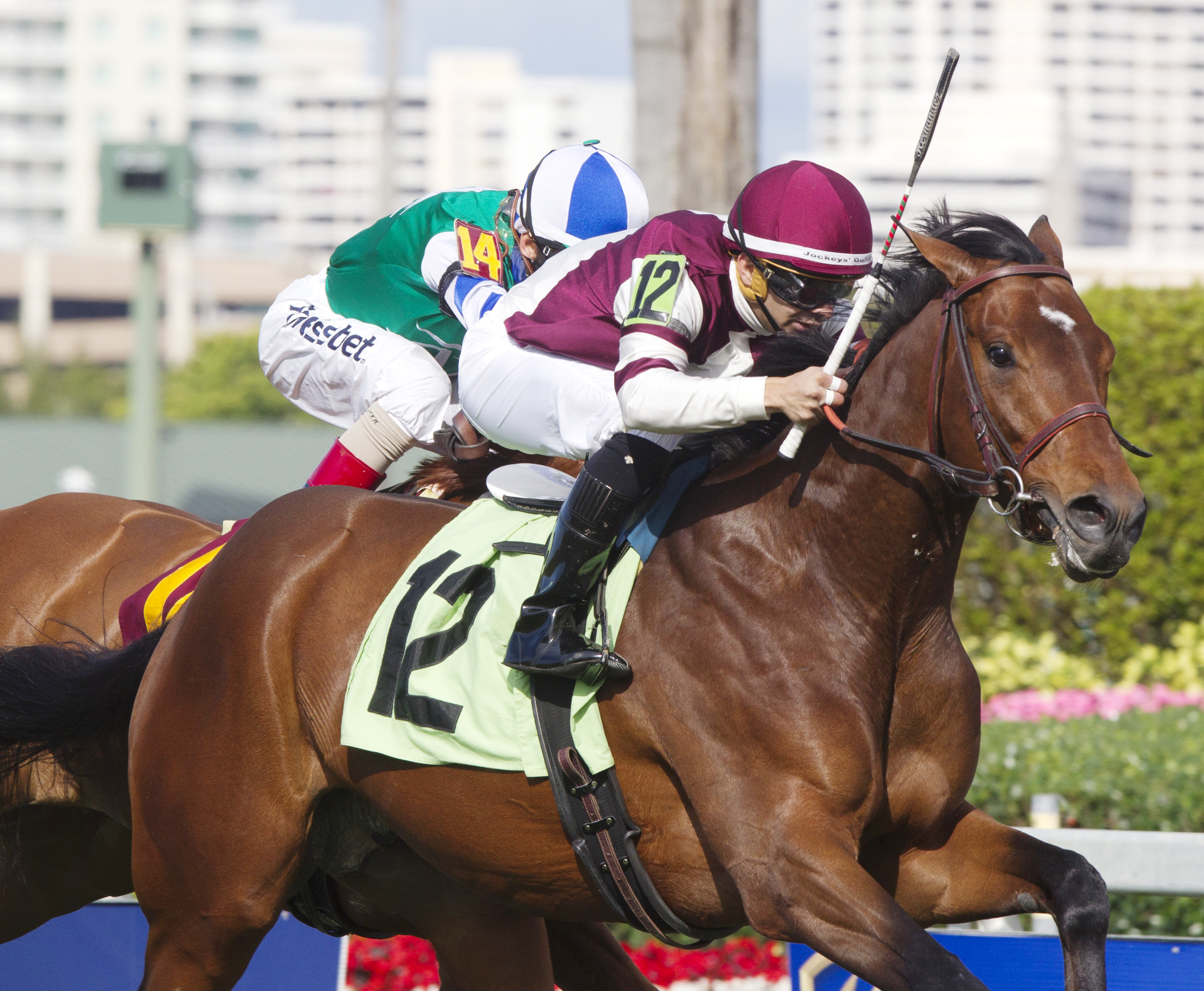 Divisidero wins a maiden race