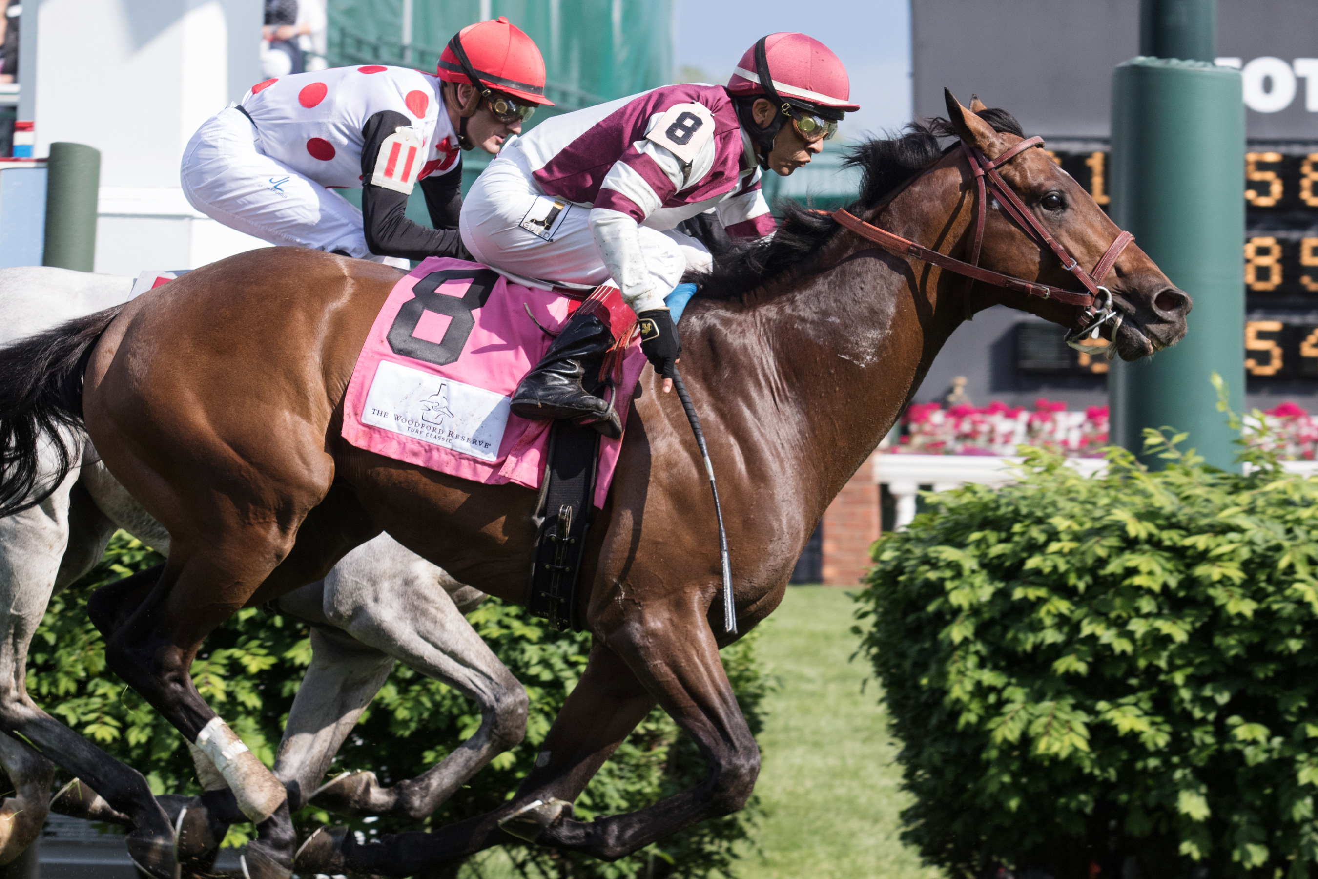 Divisidero wins the Woodford Reserve Turf Classic