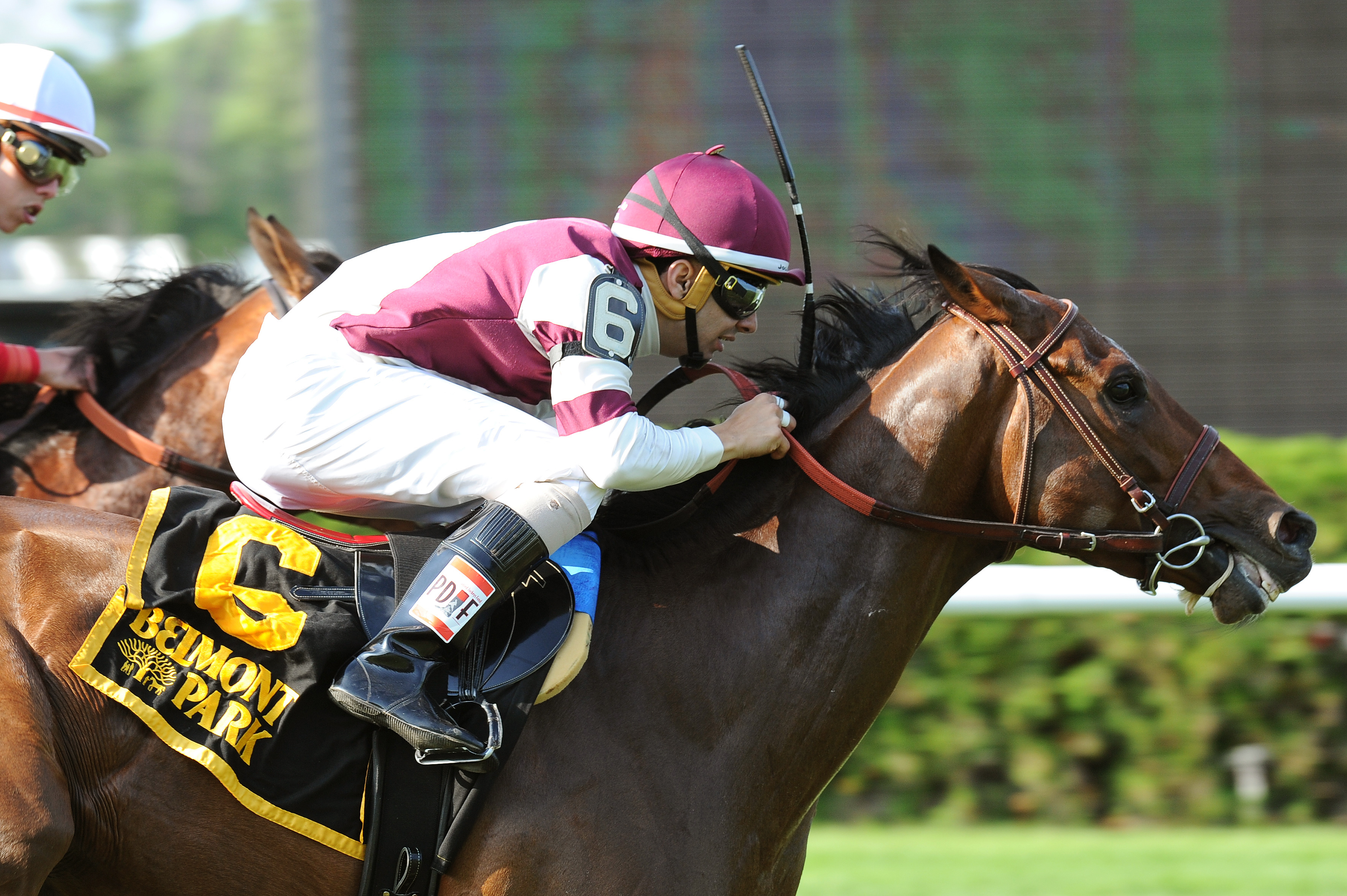 Divisidero wins the Pennine Ridge