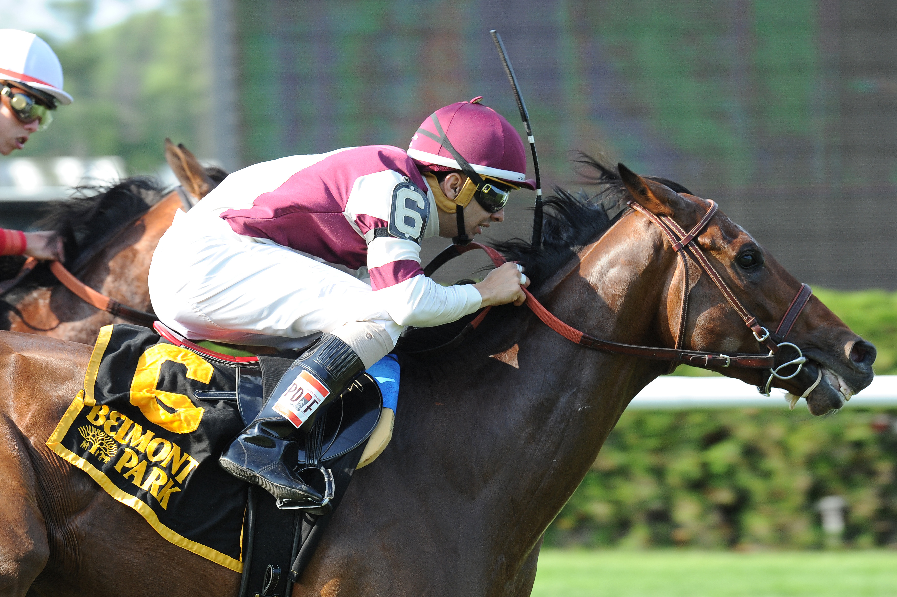 Divisidero wins the Pennine Ridge