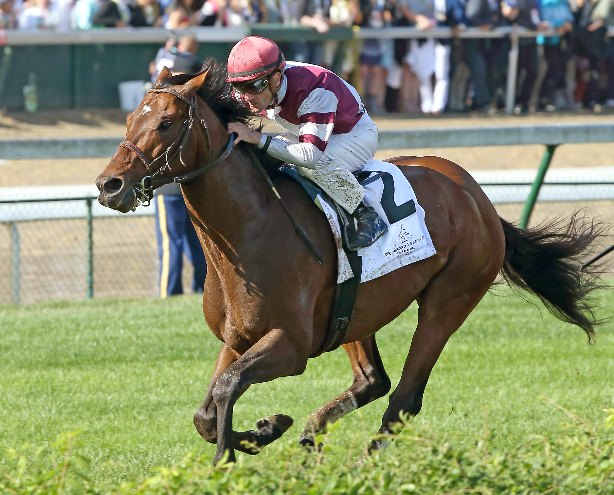 Divisidero wins the 2017 Woodford Reserve Turf Classic
