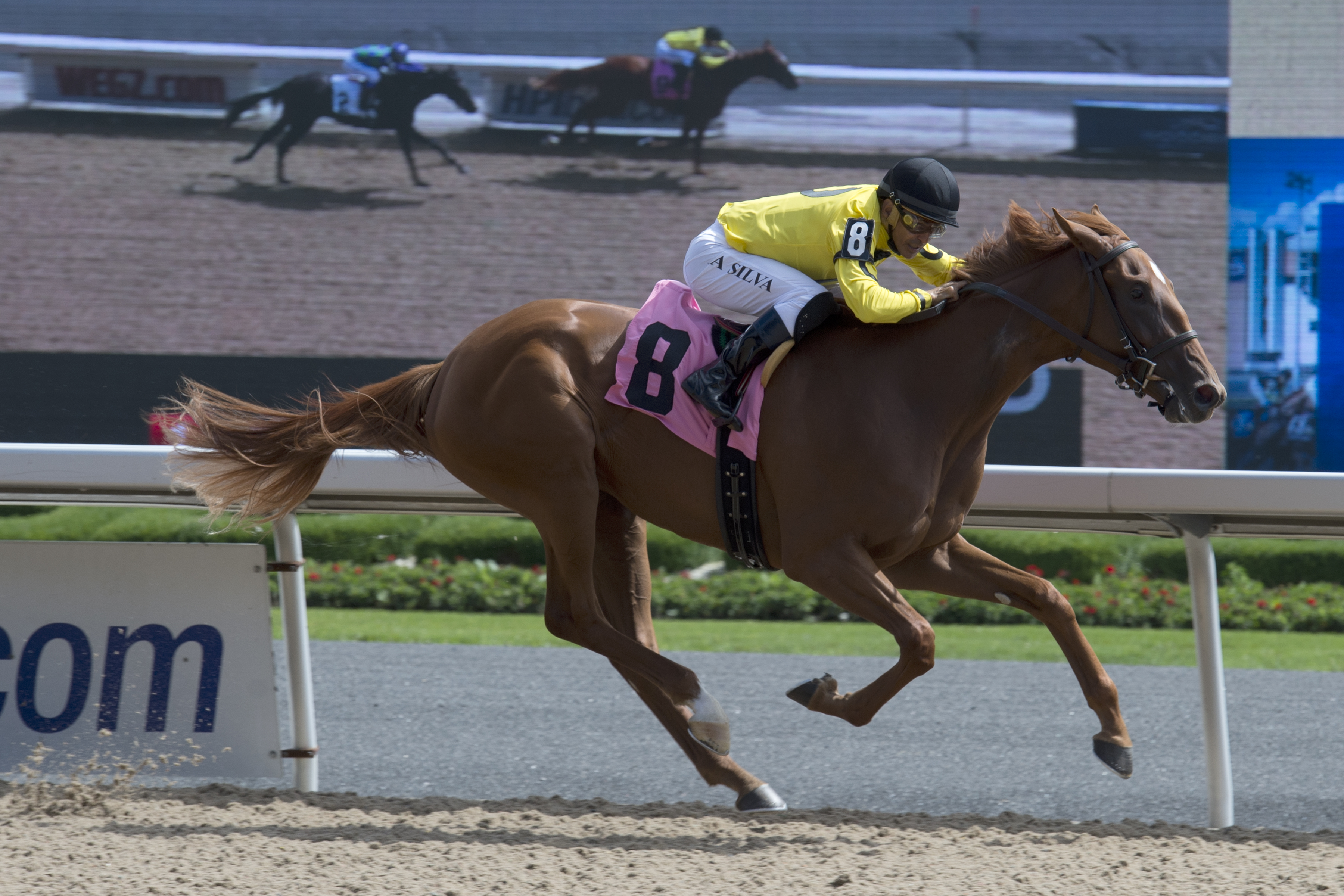 Dixie Moon wins an Aug. 19 maiden race