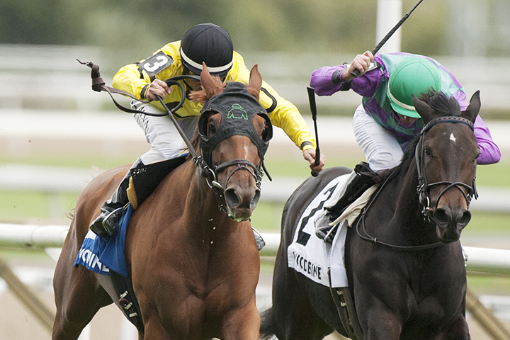 Dixie Moon wins the 2018 Carotene Stakes