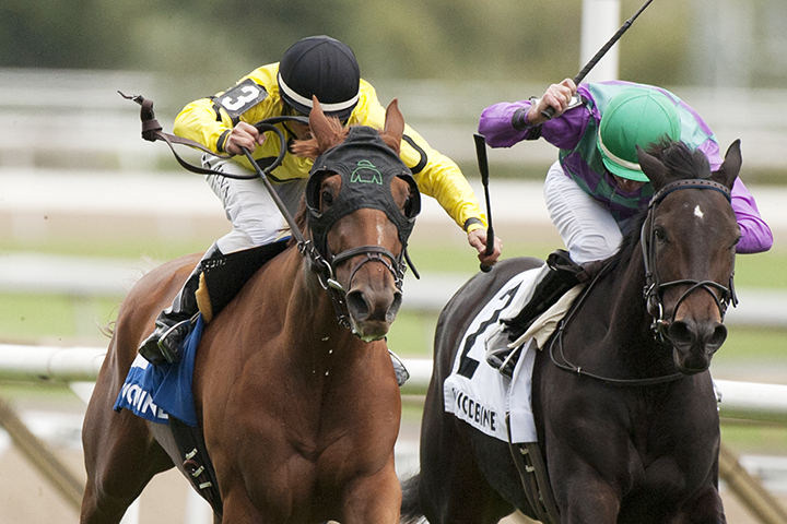 Dixie Moon (left) wins the 2018 Carotene Stakes at Woodbine Racetrack