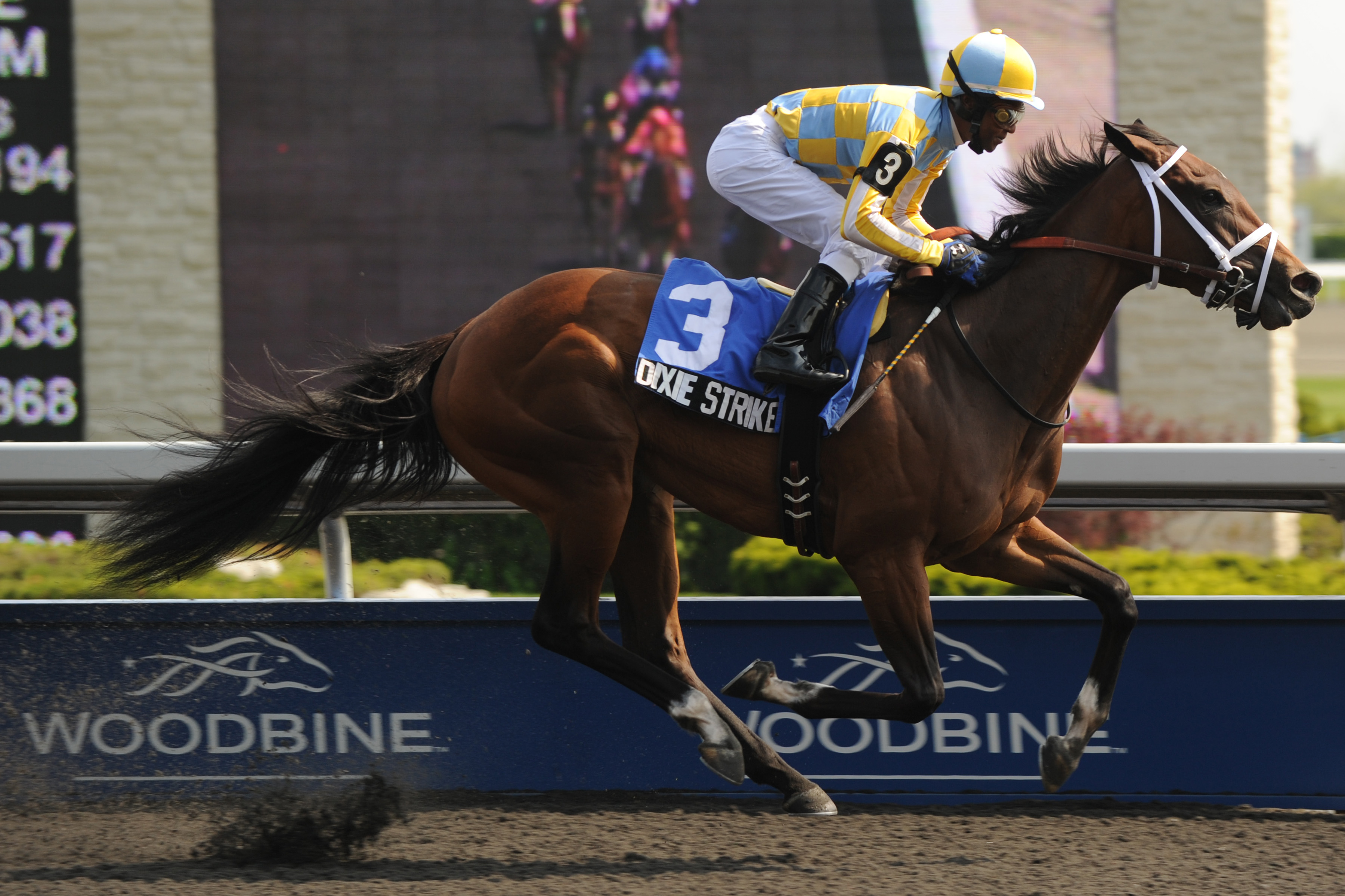 Dixie Strike/Selene