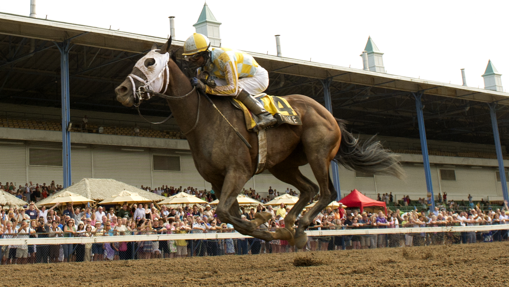 Dixie Strike/Prince of Wales