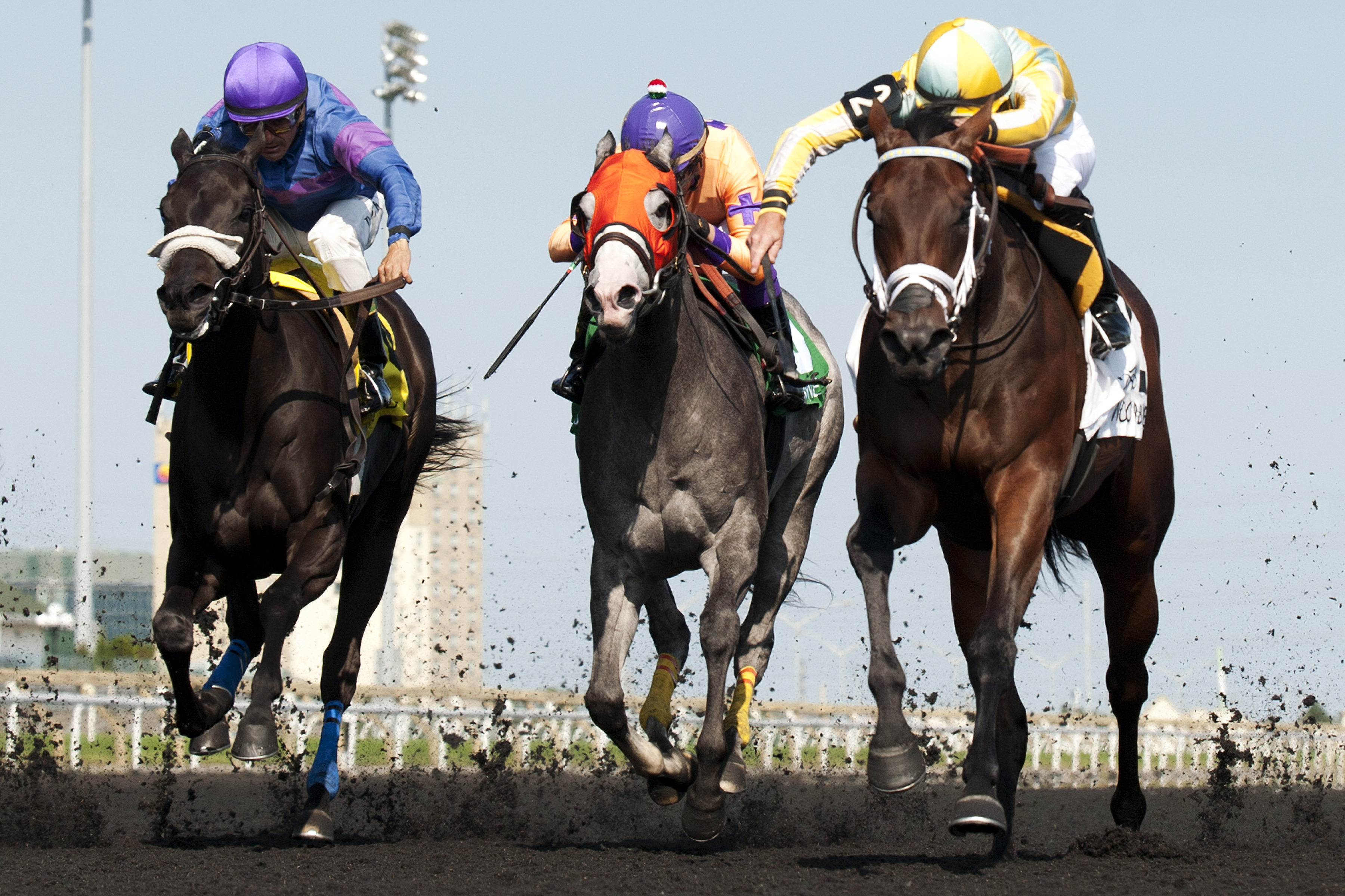 Dixie Twist wins the Ontario Debutante