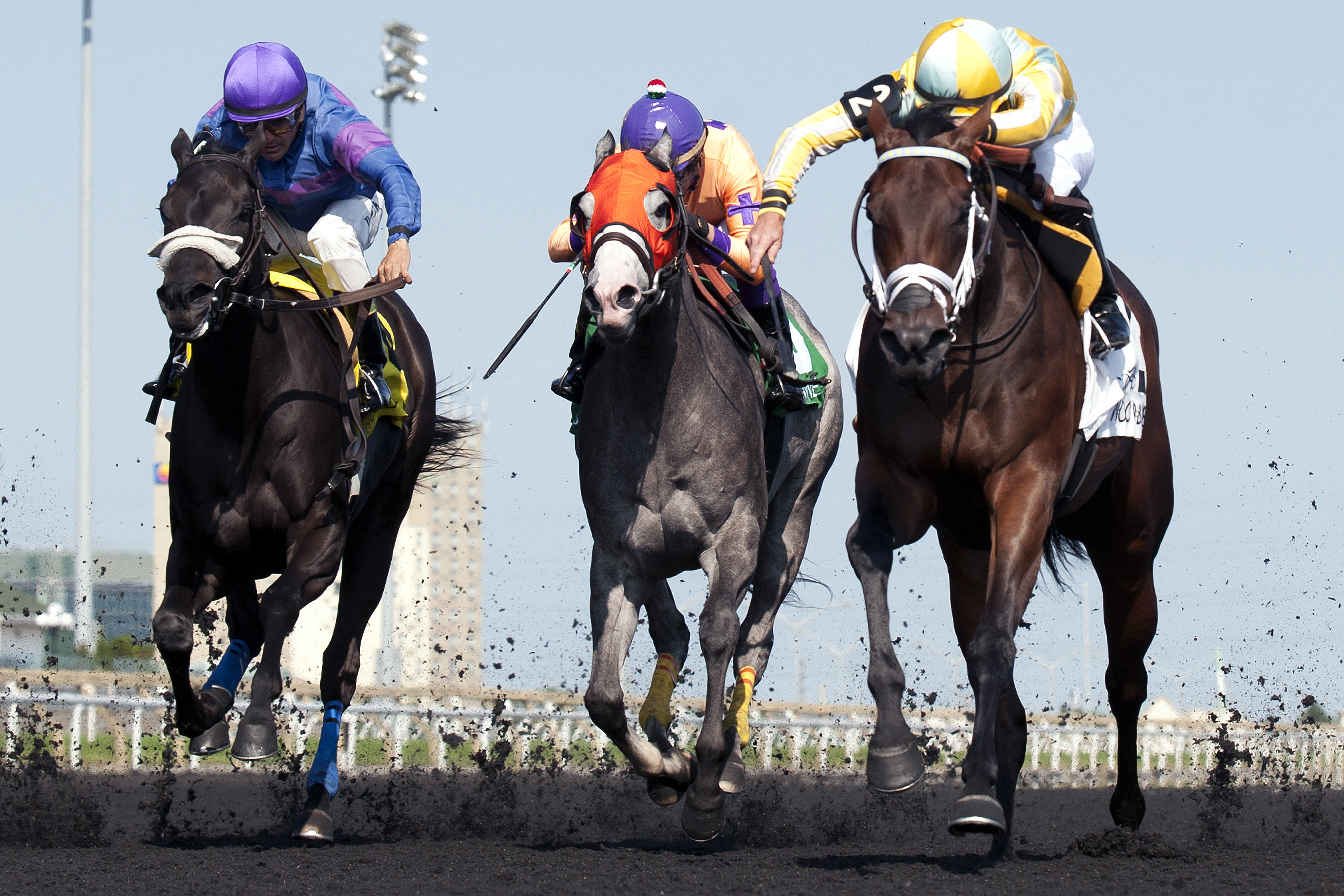 Dixie Twist wins the Ontario Debutante