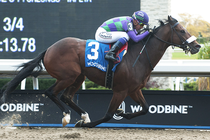 Dixie-s Gamble wins the Overskate Stakes at Woodbine Racetrack