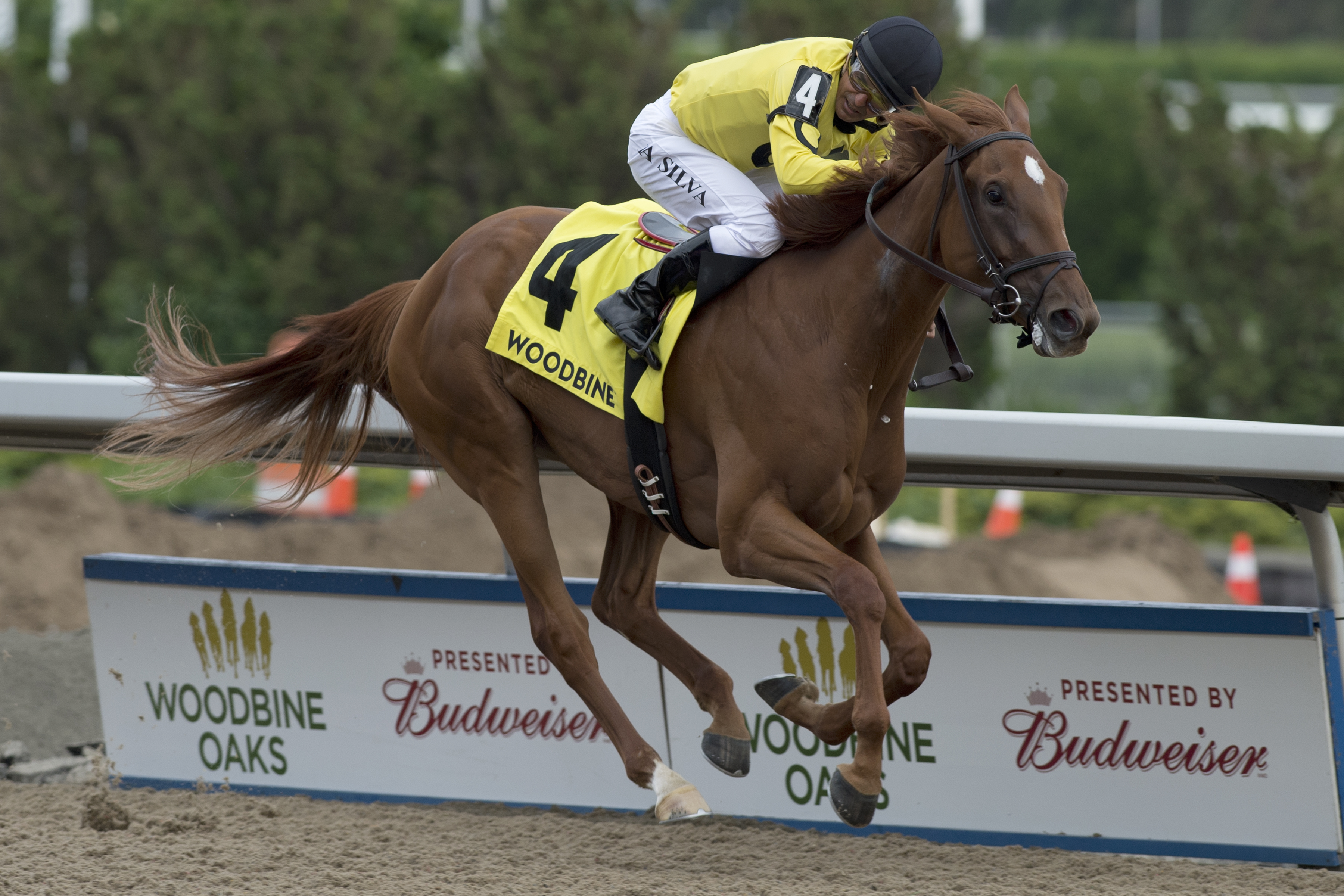 Dixie Moon wins the 2018 Woodbine Oaks