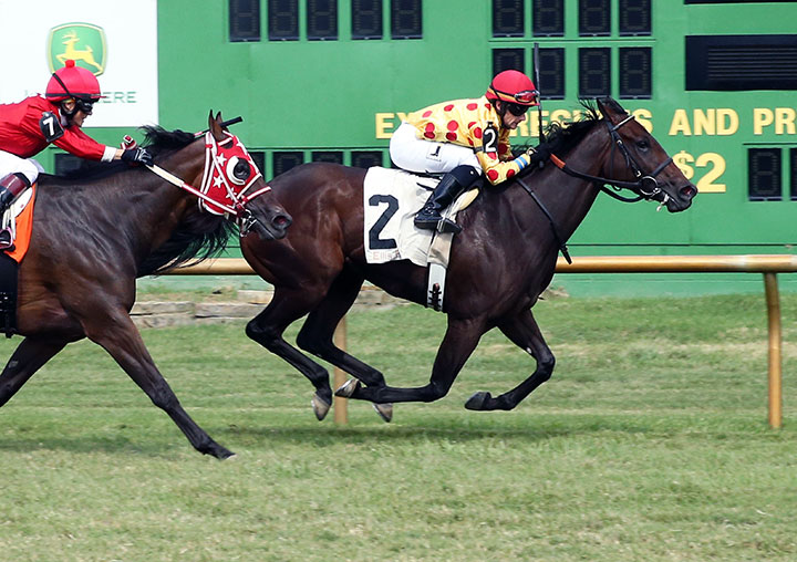 Dixieincandyland wins an August 2019 maiden race at Ellis Park