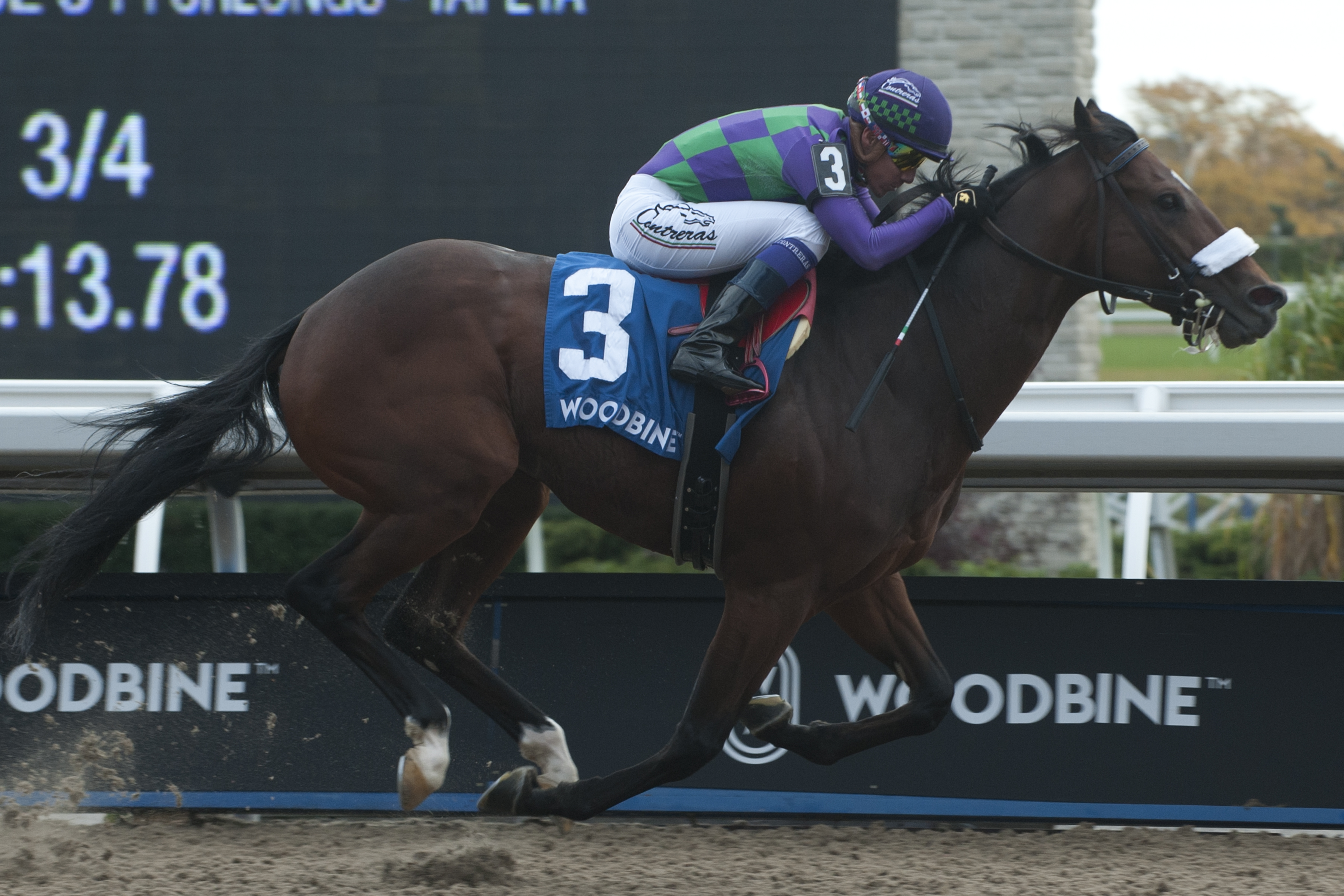 Dixie-s Gamble wins the 2019 Overskate Stakes