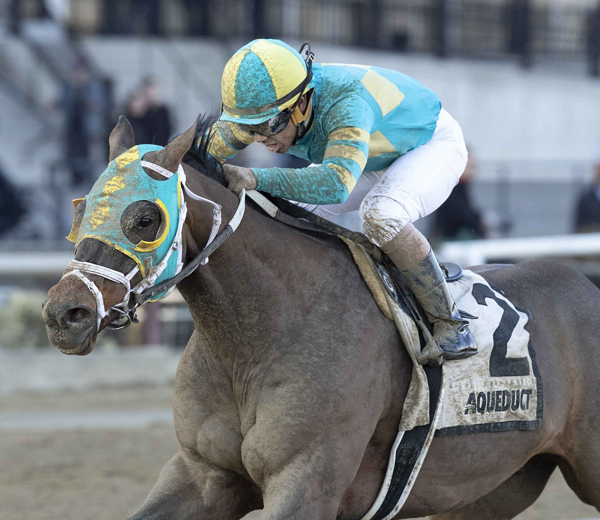 Do Share wins the 2019 Tom Fool Handicap (DRO)