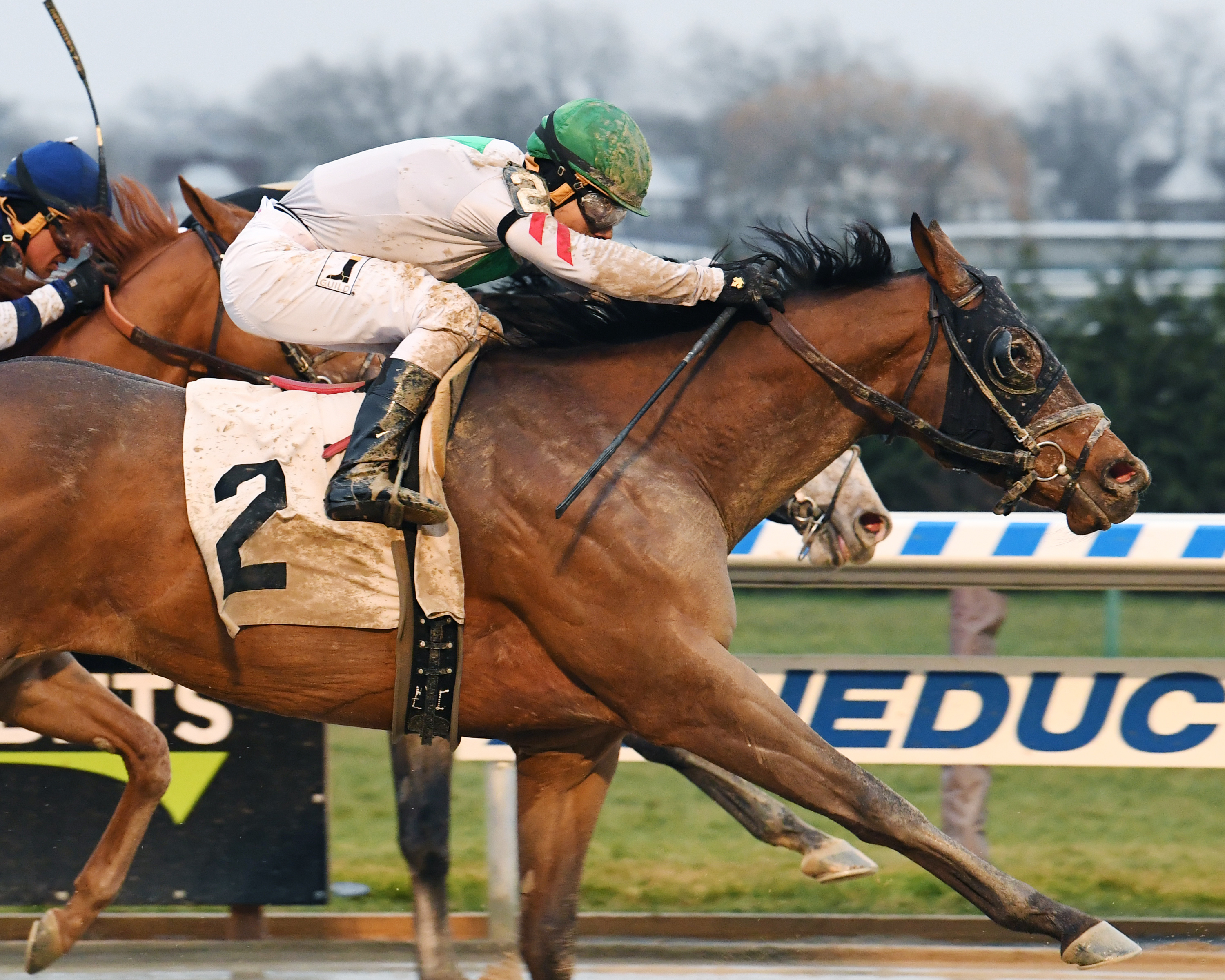 Do Share wins the 2017 Gravesend Stakes