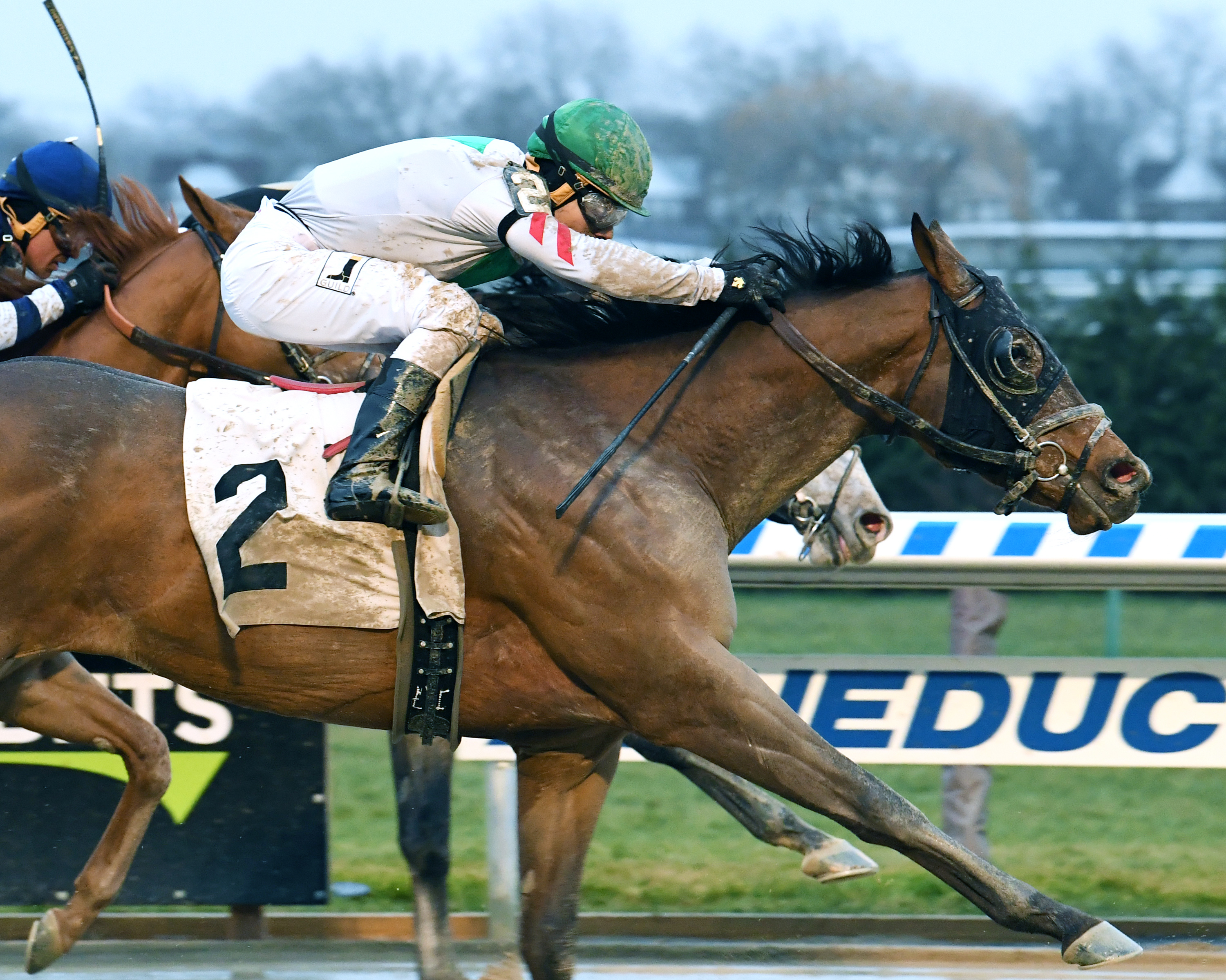 Do Share wins the 2017 Gravesend Stakes